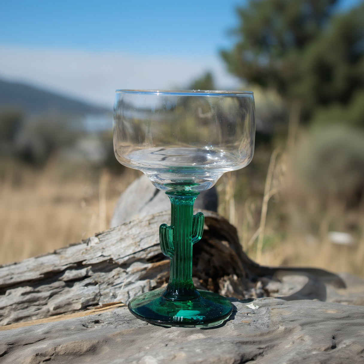 Libbey Cactus 12 oz Margarita Glass