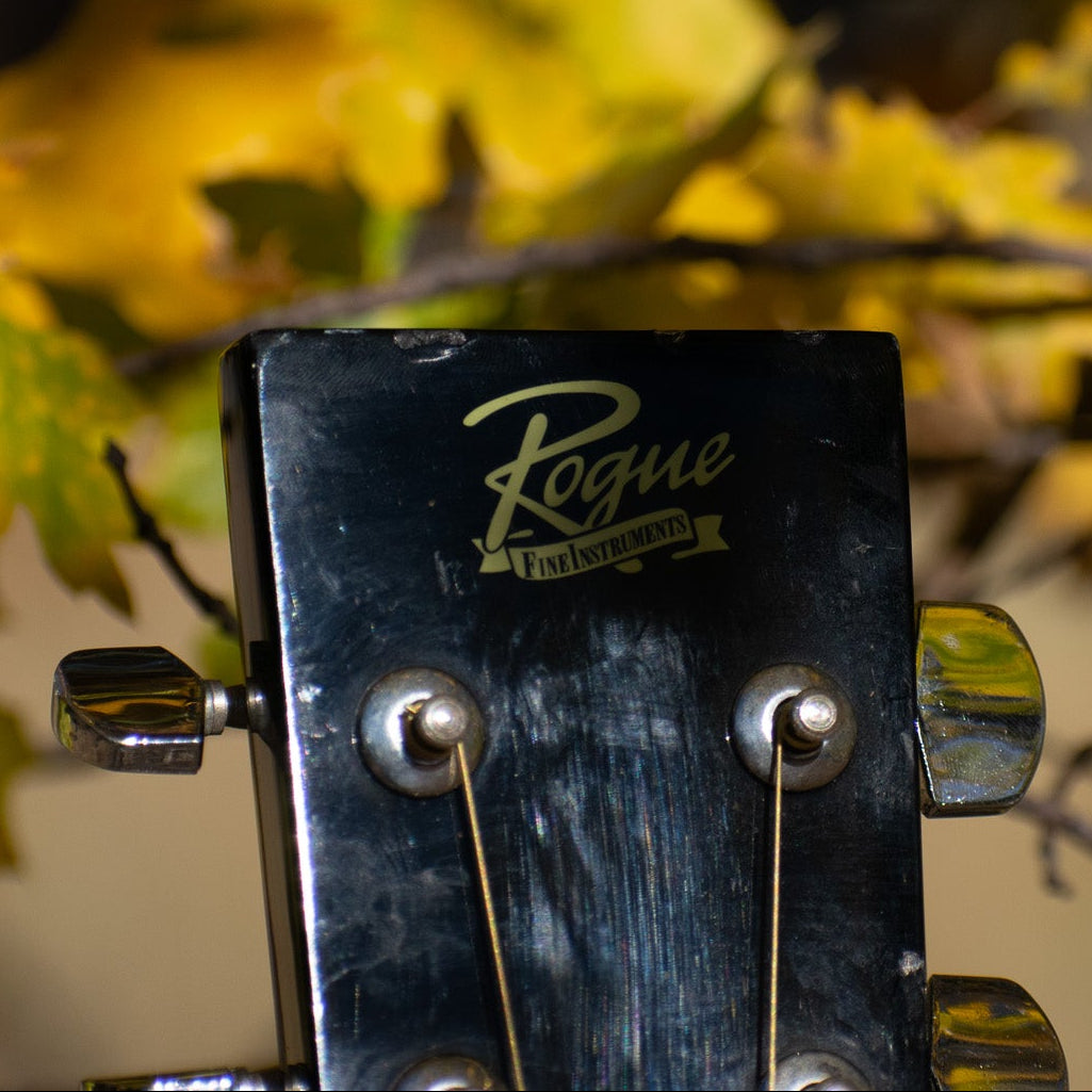 Rogue Fine Instruments Dreadnought RA-090-SN Guitar