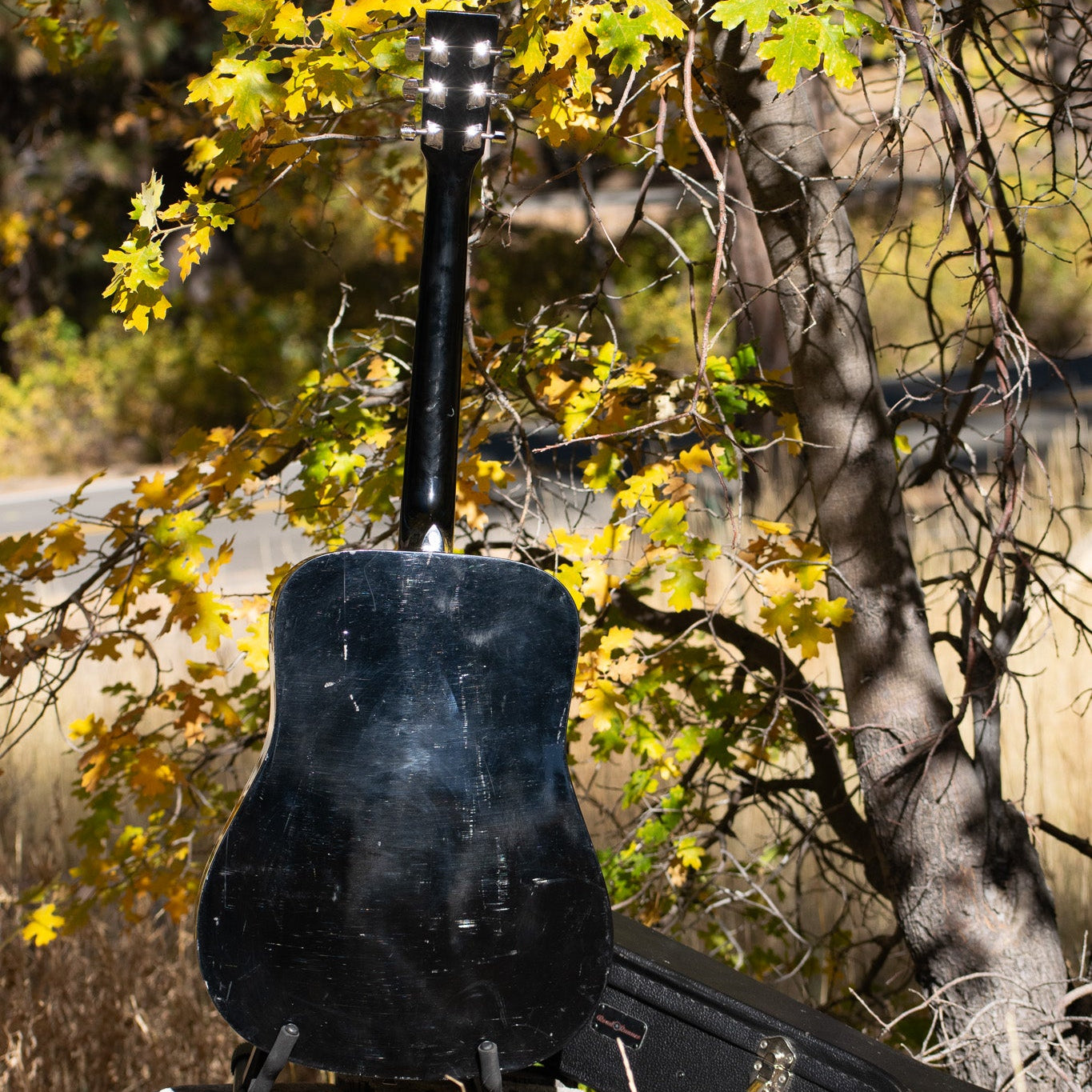 Rogue Fine Instruments Dreadnought RA-090-SN Guitar
