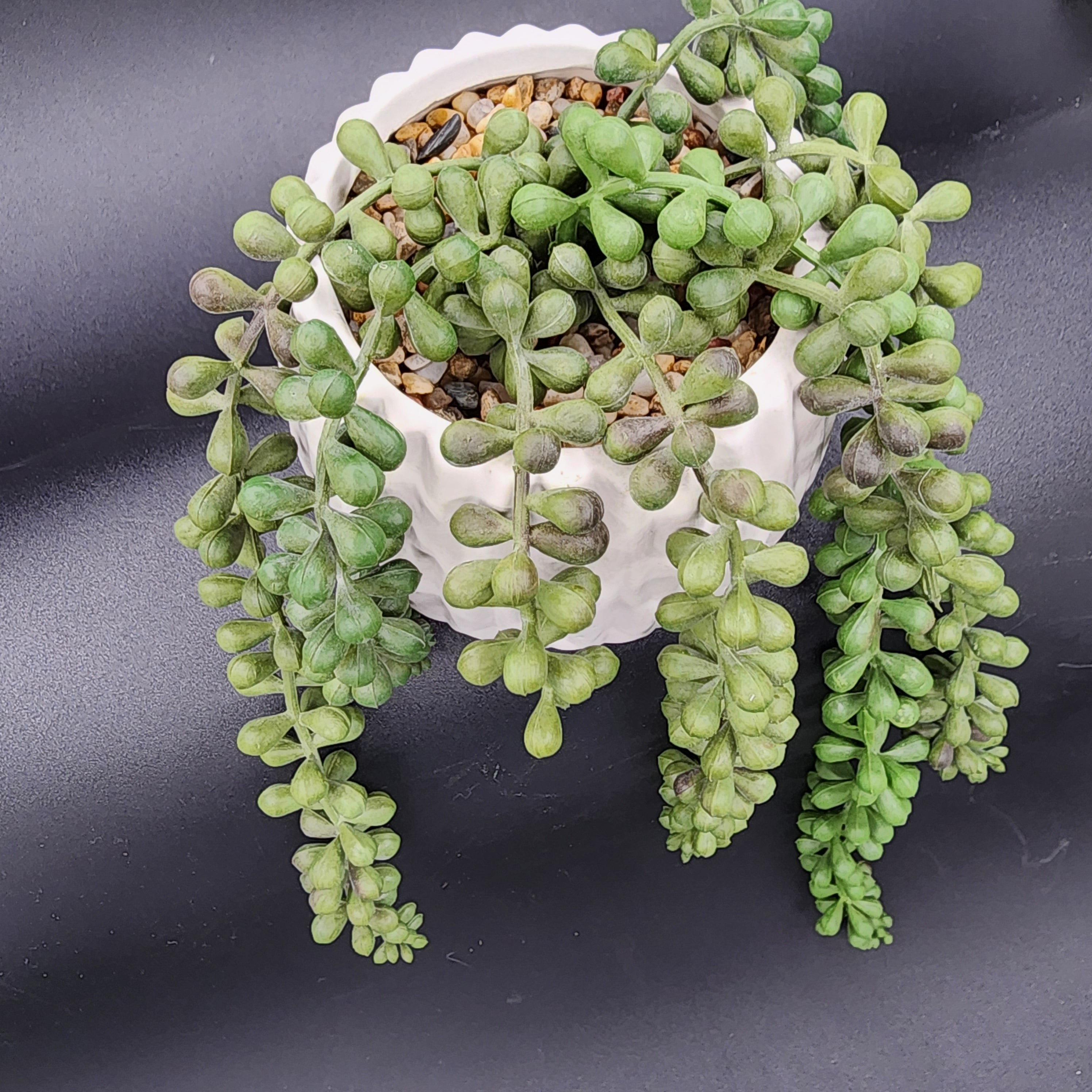 Flora Bunda Inc. Handcrafted by Artisans White Textured Pot with Faux String of Pearl Plants