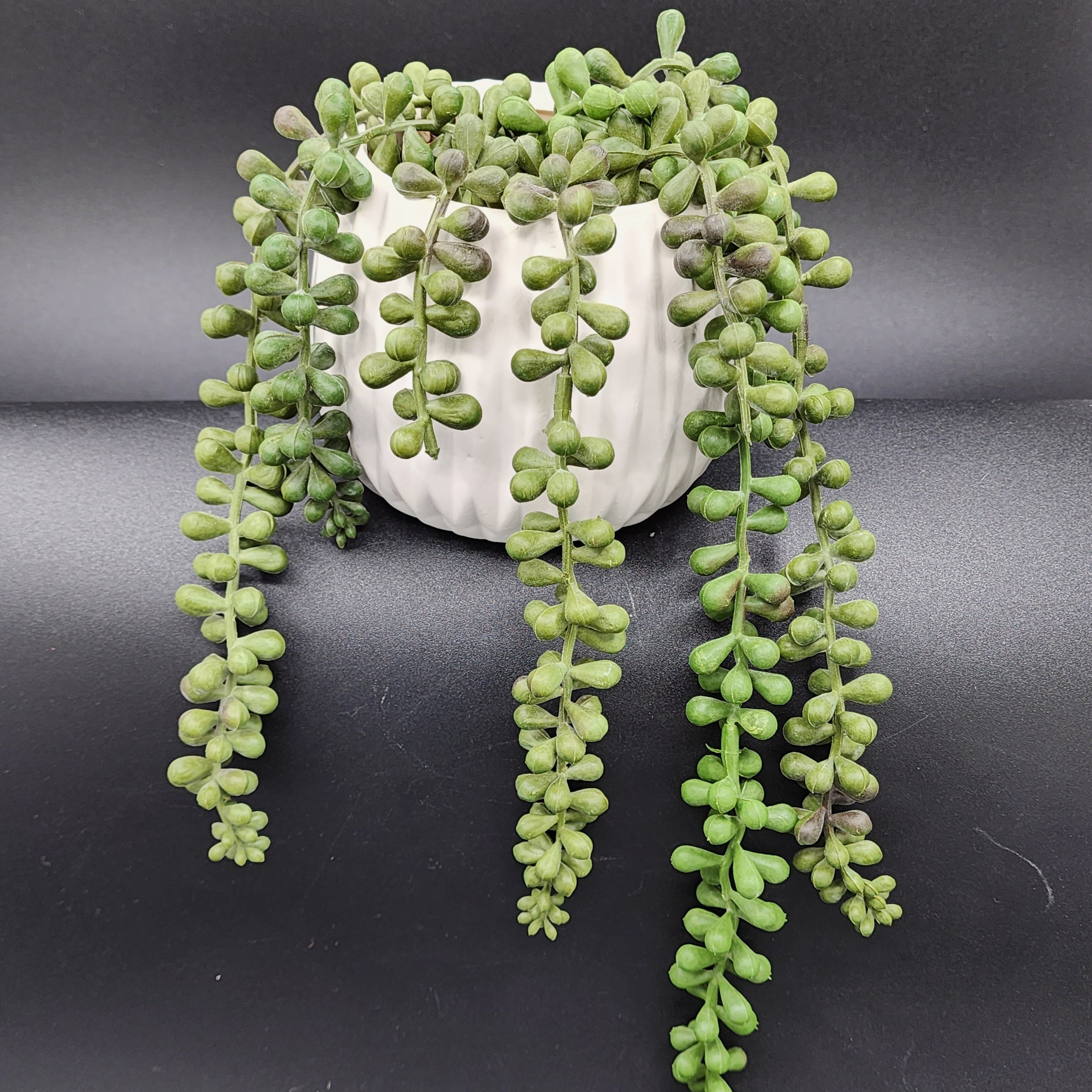 Flora Bunda Inc. Handcrafted by Artisans White Textured Pot with Faux String of Pearl Plants
