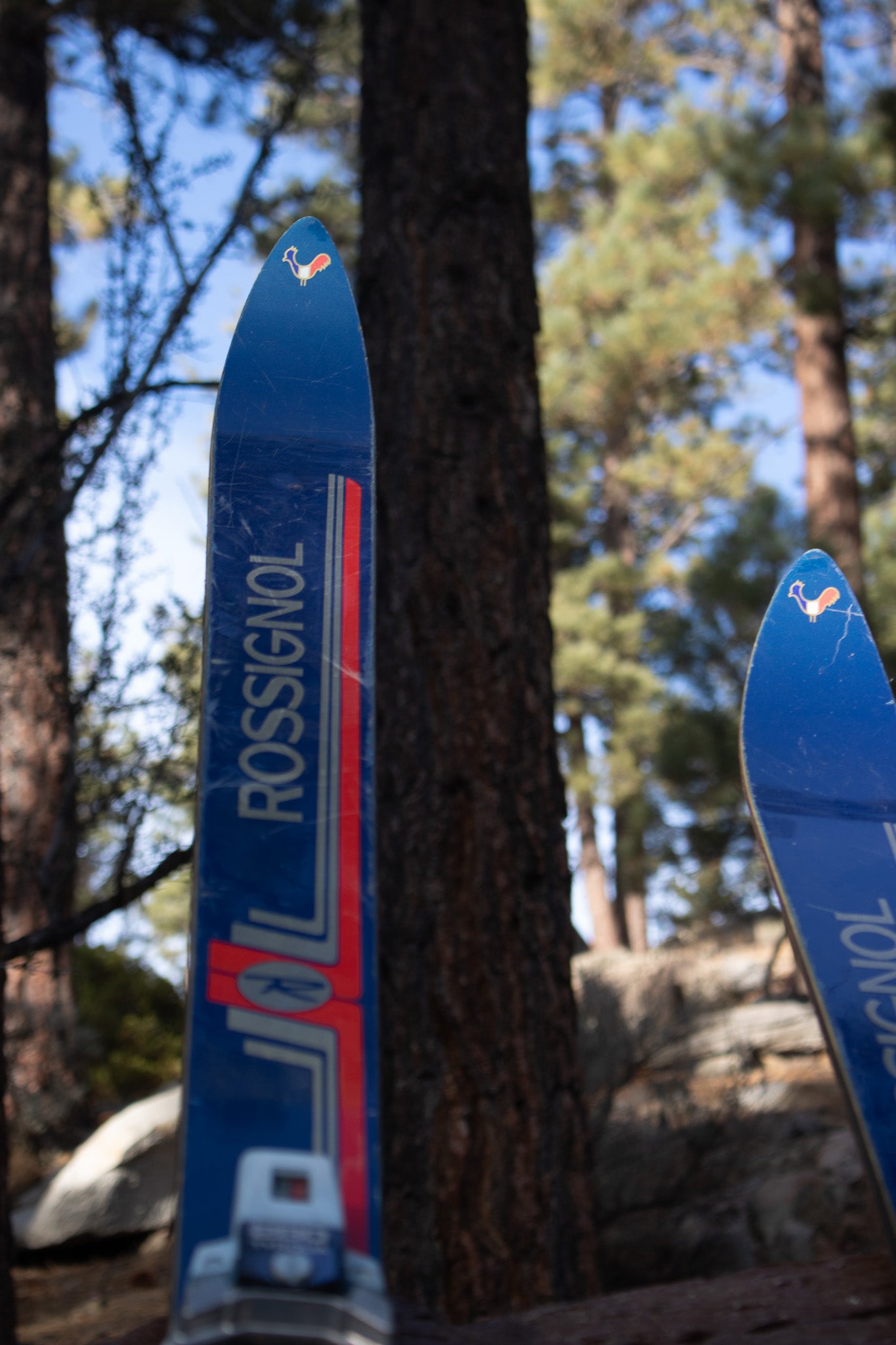Rossignol Brand Skis SX944L With Tyrolia Bindings