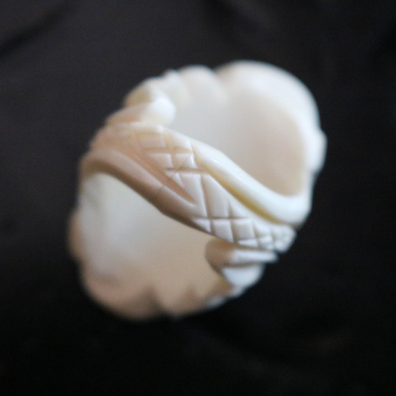 Hand-Crafted Bone Ring with Inlayed Black Onyx and Mother of Pearl Ring Size 7