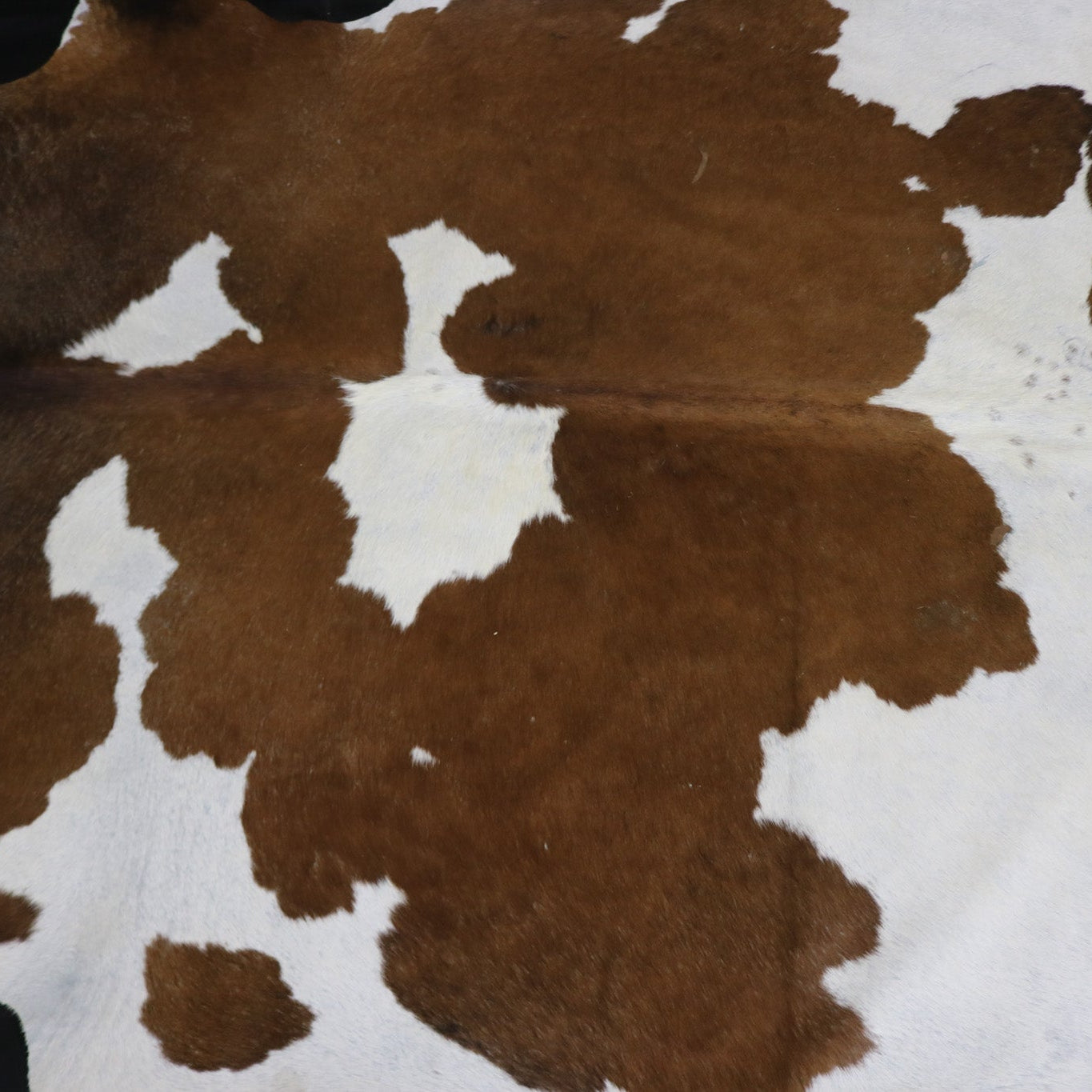 Fabulous Brown and White Cowhide Handcrafted in Brazil