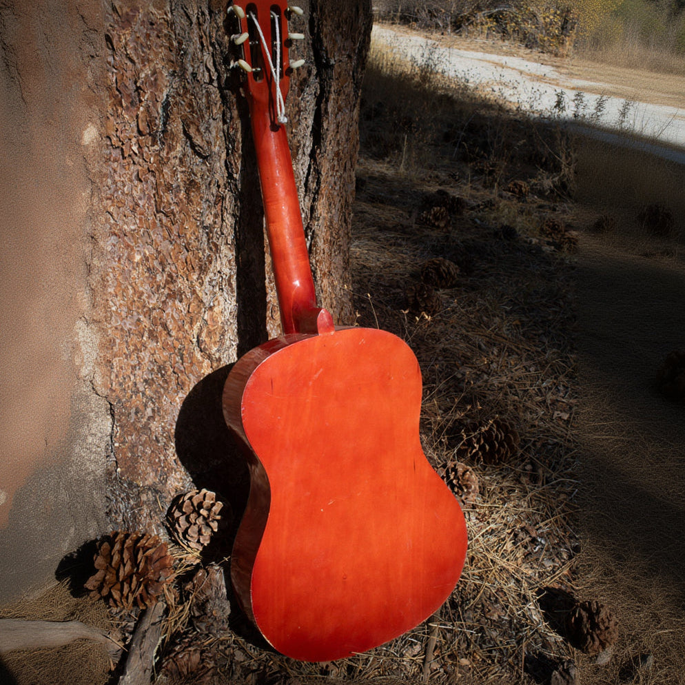 Mahar Acoustic Guitar