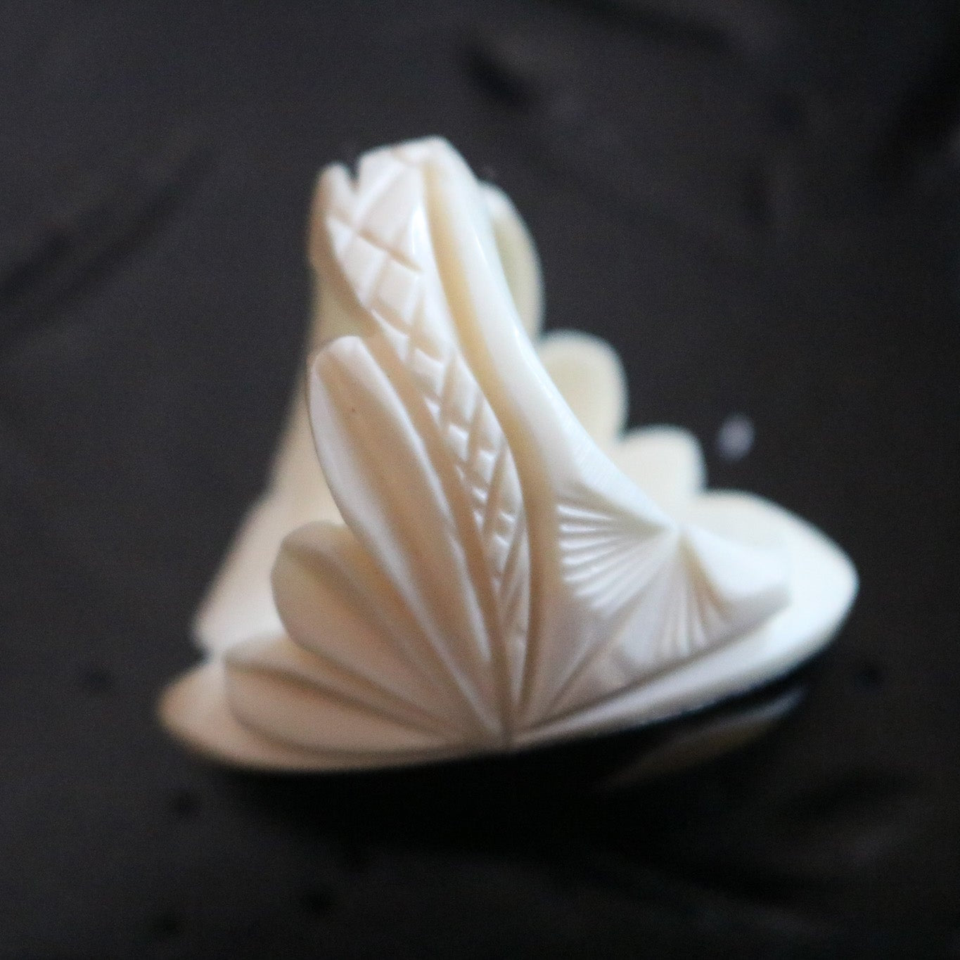 Hand-Crafted Bone Ring with Inlayed Black Onyx and Mother of Pearl Ring Size 7