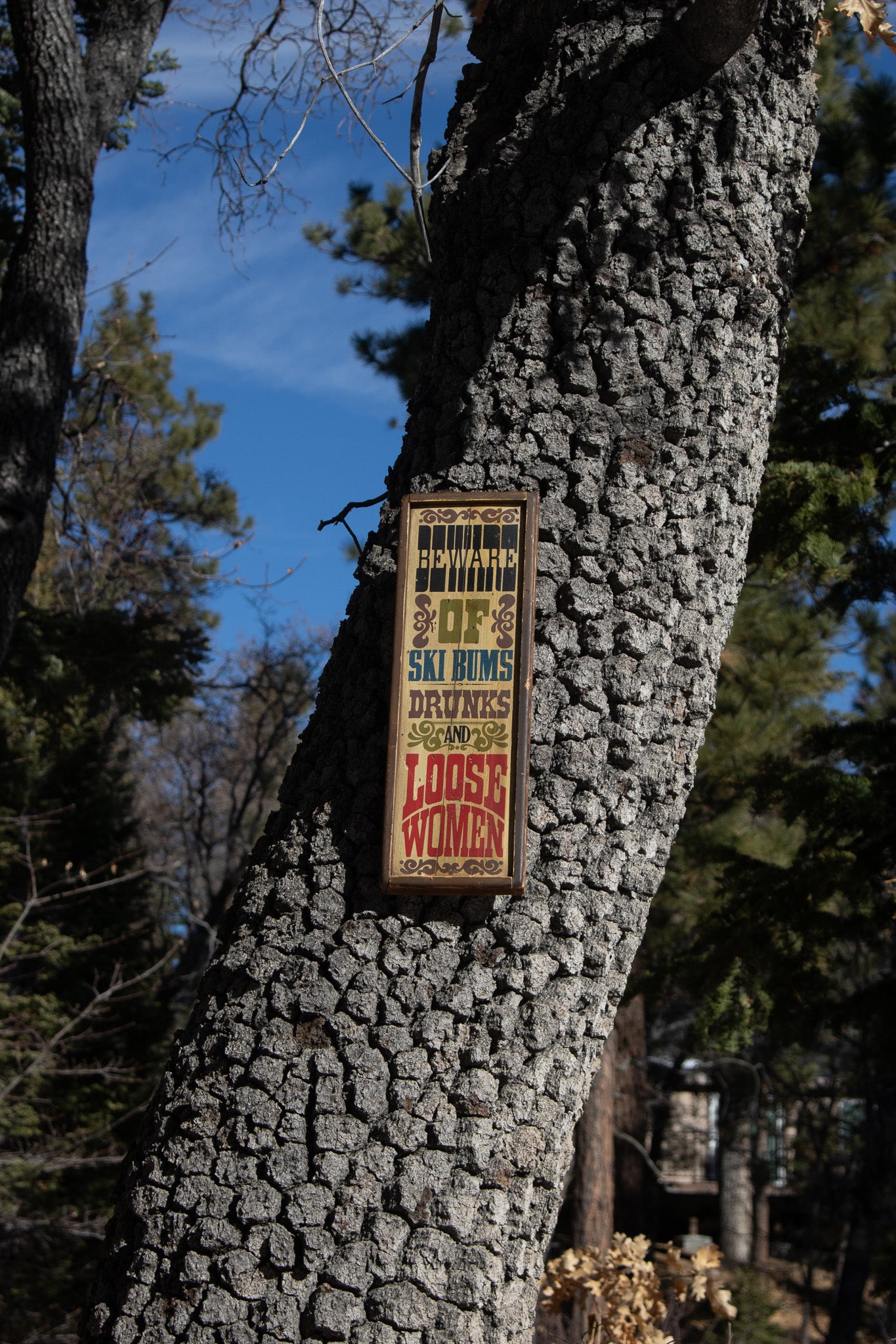 Retro Wooden Sign Handcrafted Stars & Stripes 'Beware of Ski Bums Drunks & Loose Women