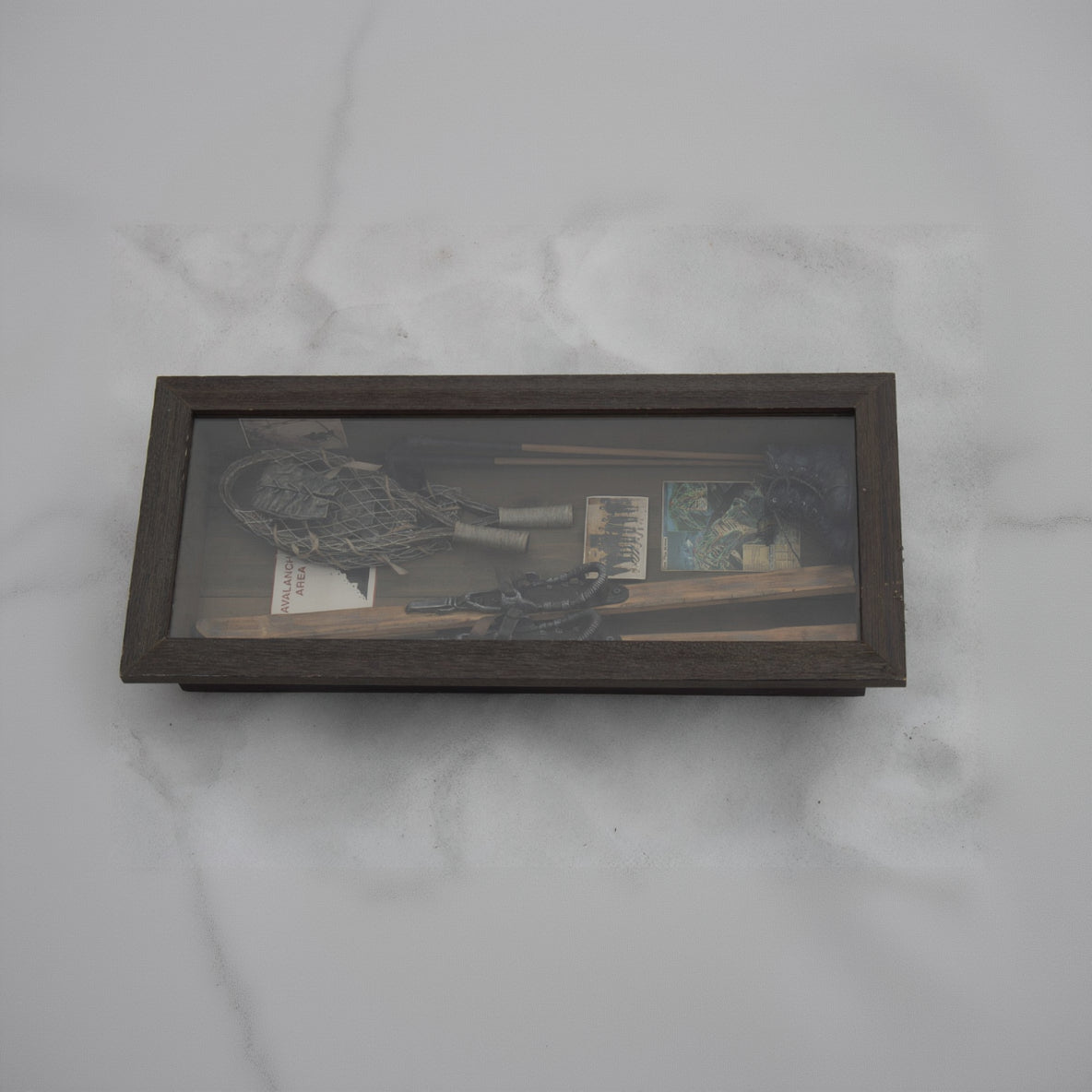 Curio Collection Skiing Model Windowpane with Certificate of Authenticity