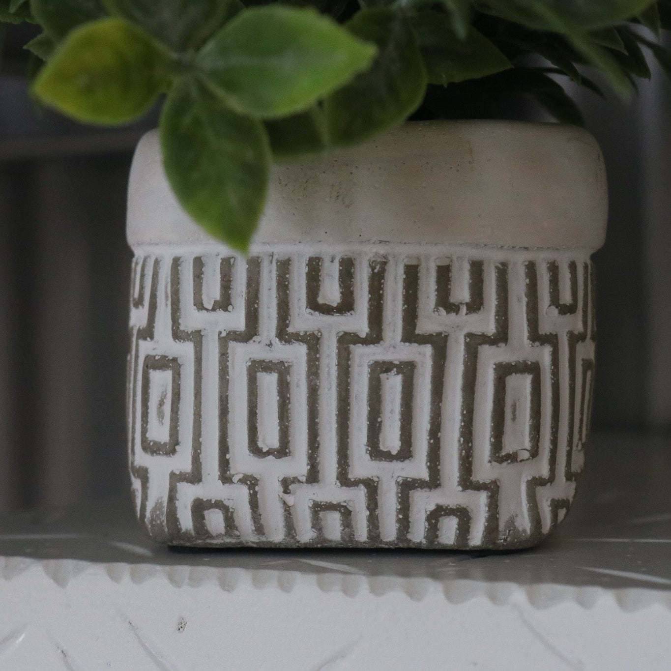 Faux Powder Tea Leaf in Geometric Design Square Pot