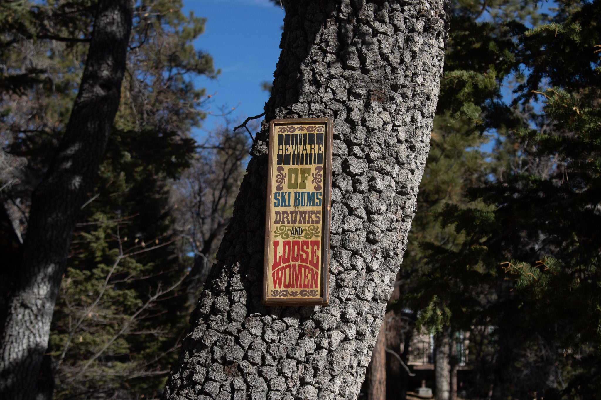 Retro Wooden Sign Handcrafted Stars & Stripes 'Beware of Ski Bums Drunks & Loose Women