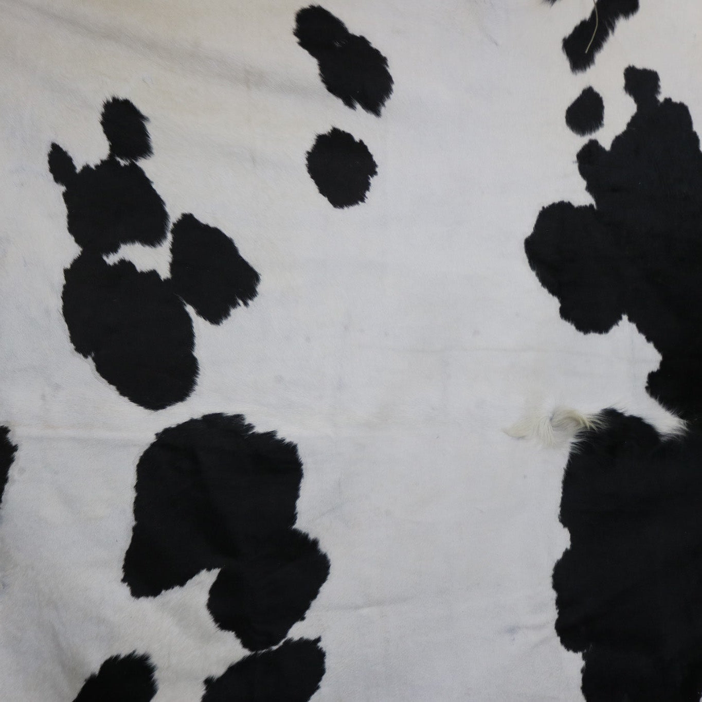 Stunning Black and White Cowhide Handmade in Brazil