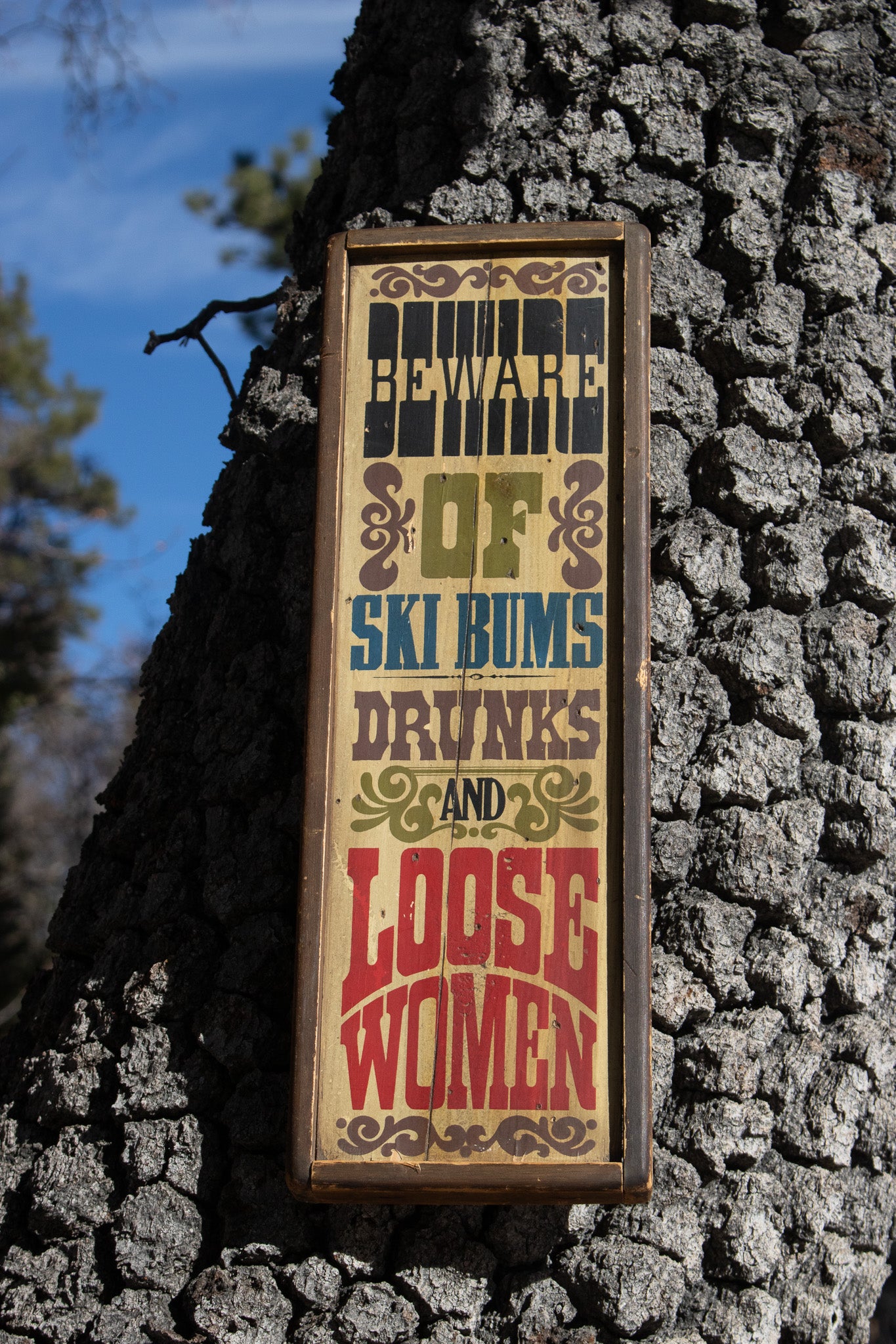 Retro Wooden Sign Handcrafted Stars & Stripes 'Beware of Ski Bums Drunks & Loose Women