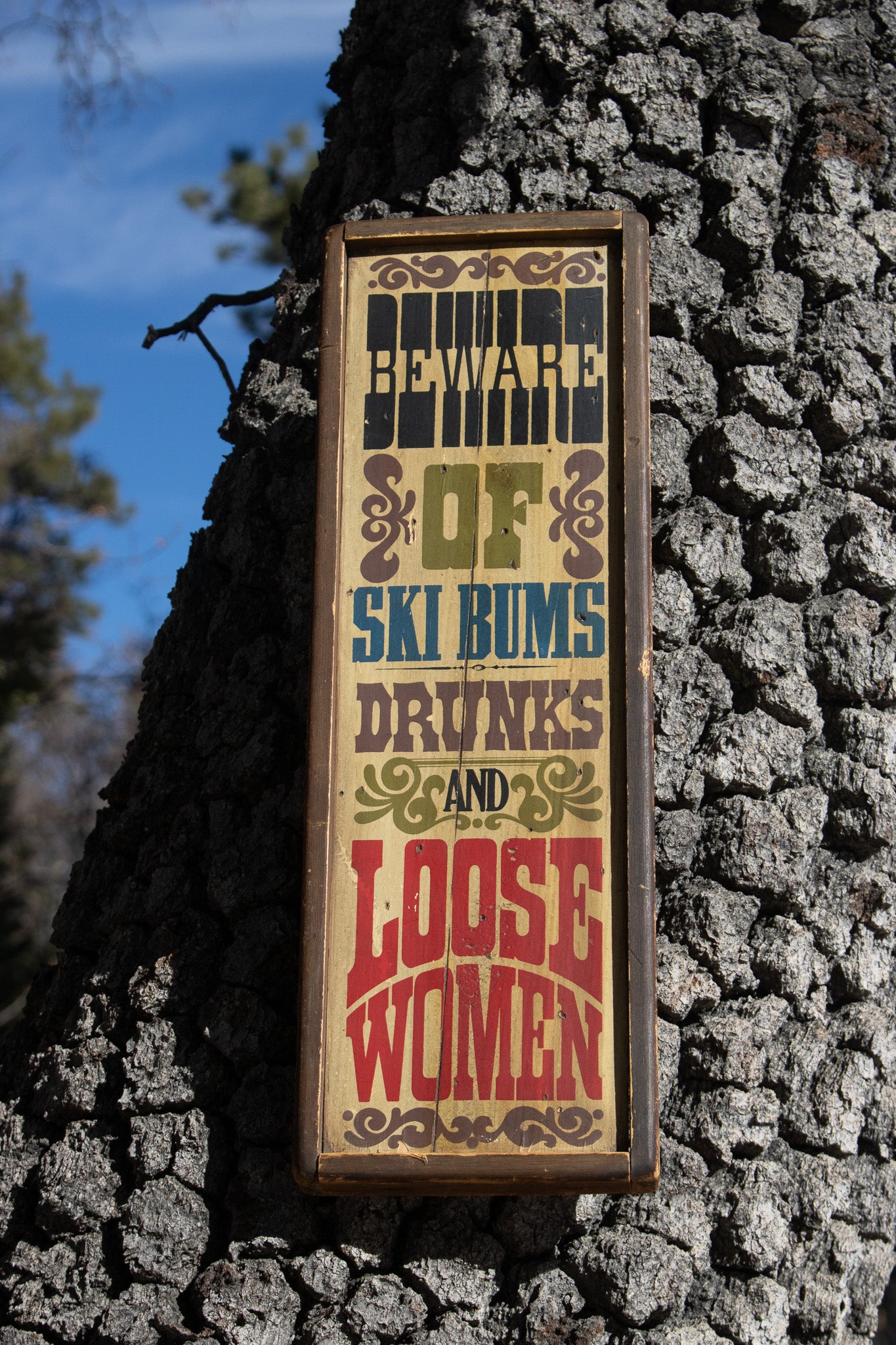 Retro Wooden Sign Handcrafted Stars & Stripes 'Beware of Ski Bums Drunks & Loose Women