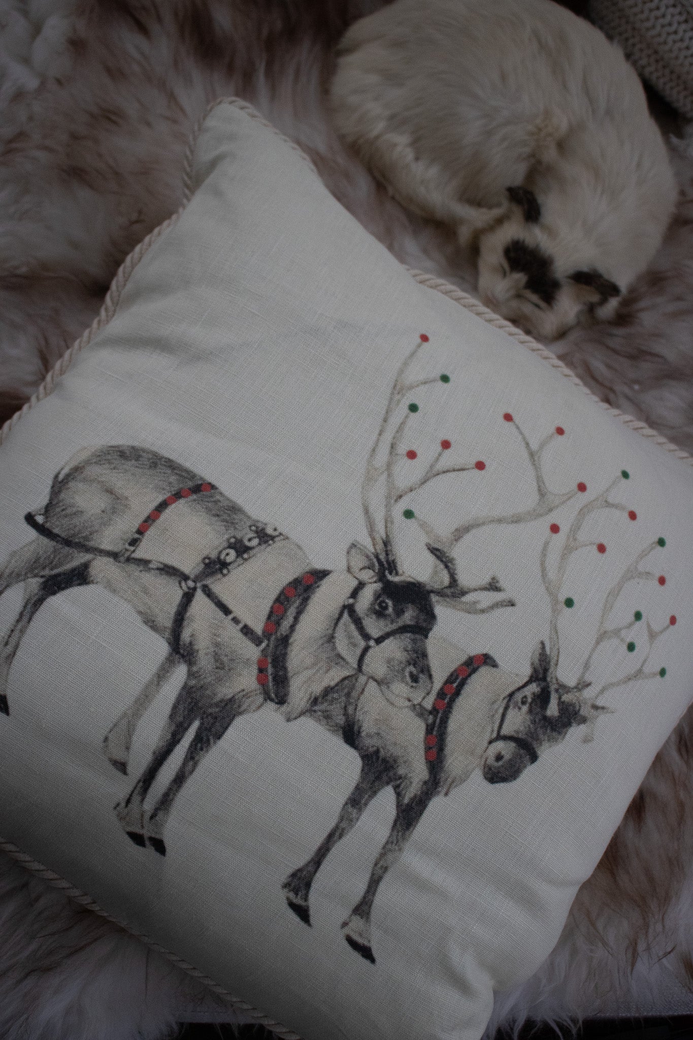 Christmas Reindeers Throw Pillow with Rope Lining