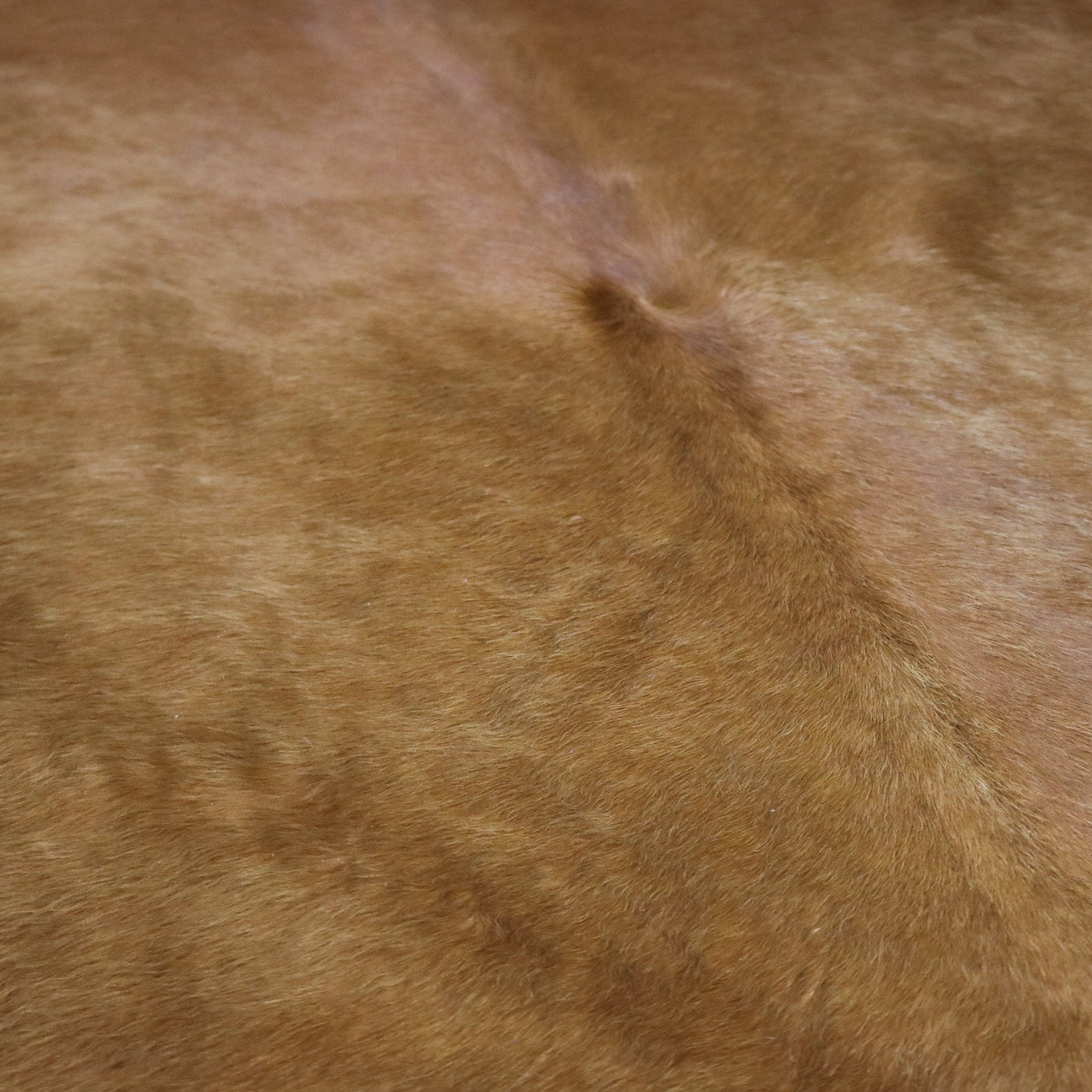 Vibrant Cinnamon Cowhide Handcrafted in Brazil