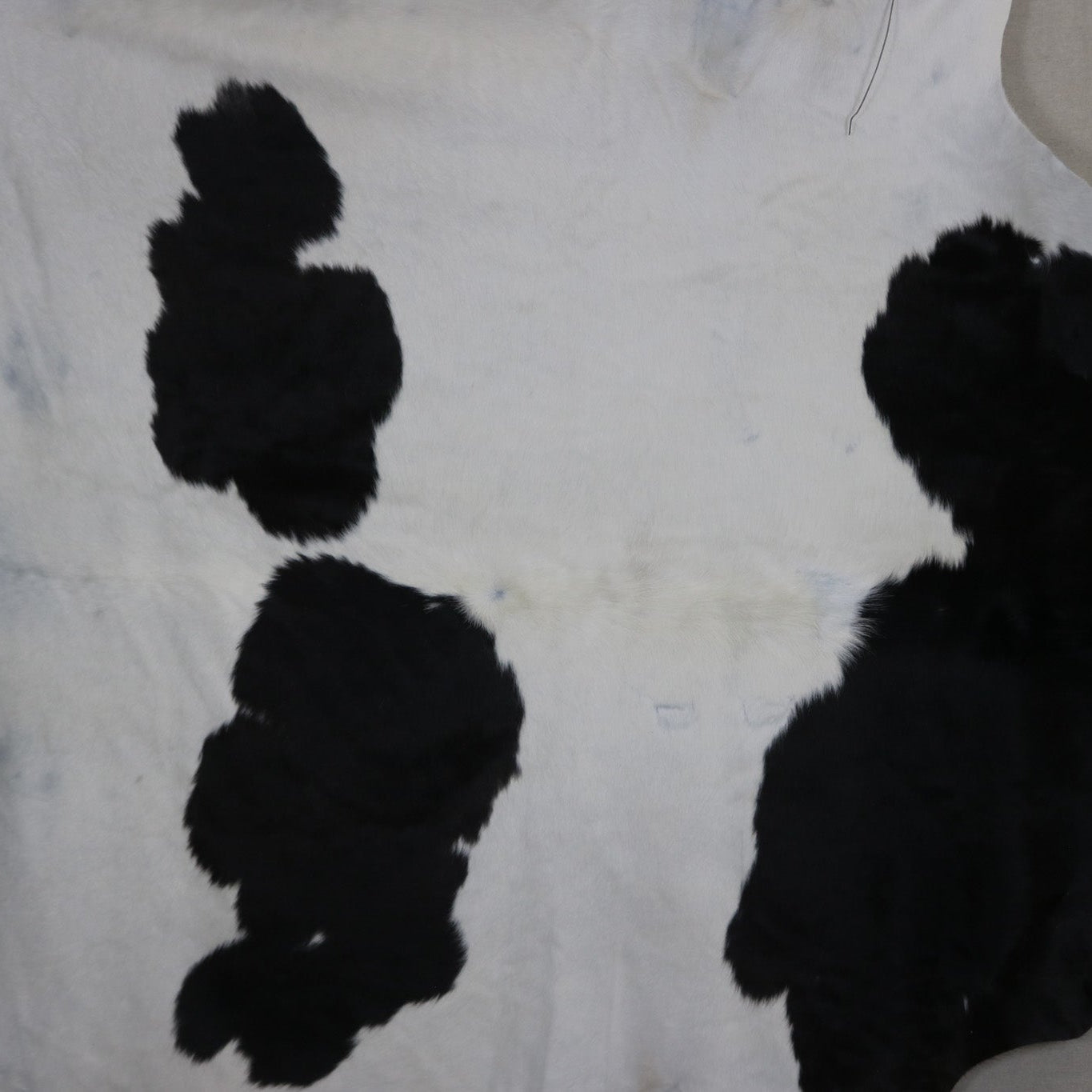 Unique Black and White Cowhide Handmade in Brazil
