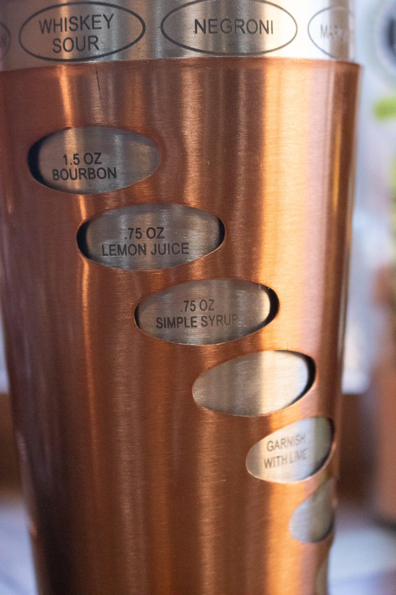 Stainless Steel and Copper Spin and Select 20oz Cocktail Shaker with 8 Recipe Card