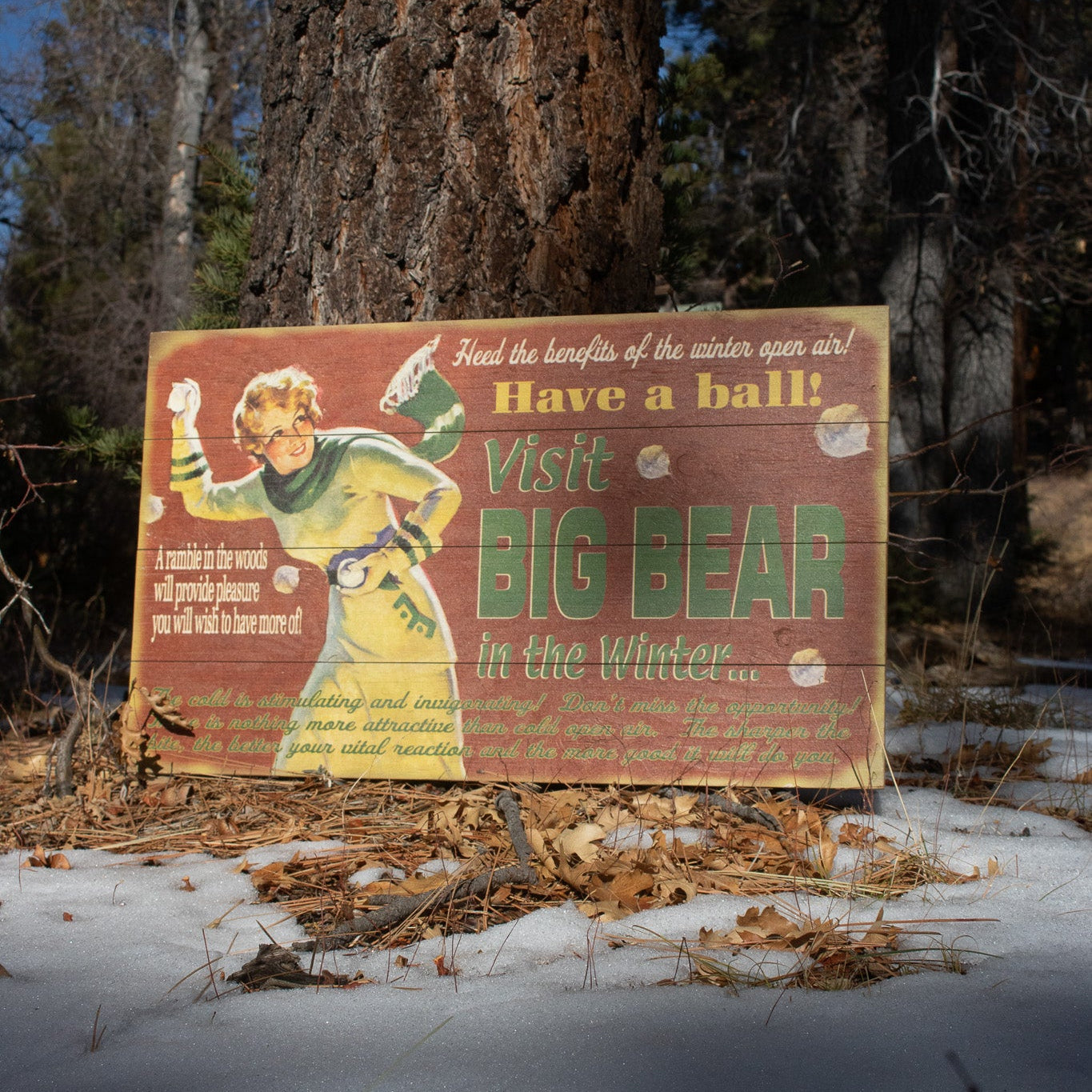 Big Bear Winter Adventure ''Have a Ball!'' Decorative Wooden Hand Painted Sign
