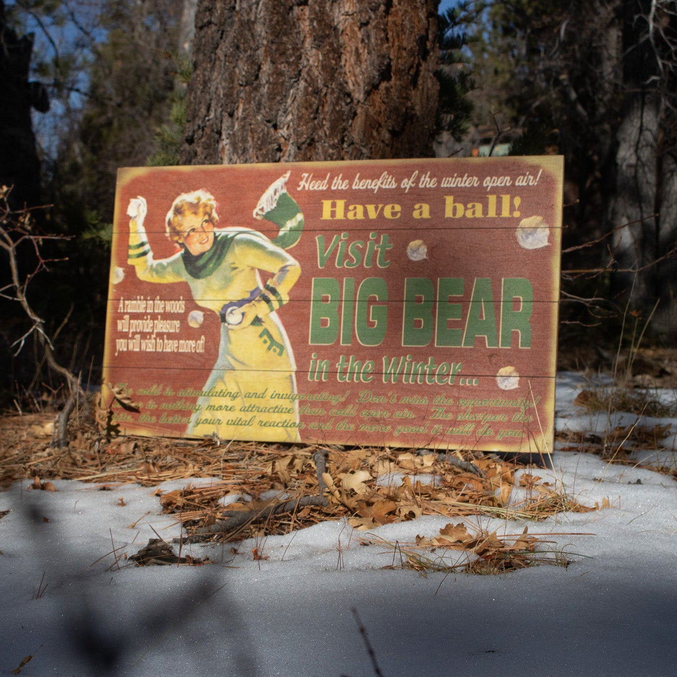 Big Bear Winter Adventure ''Have a Ball!'' Decorative Wooden Hand Painted Sign