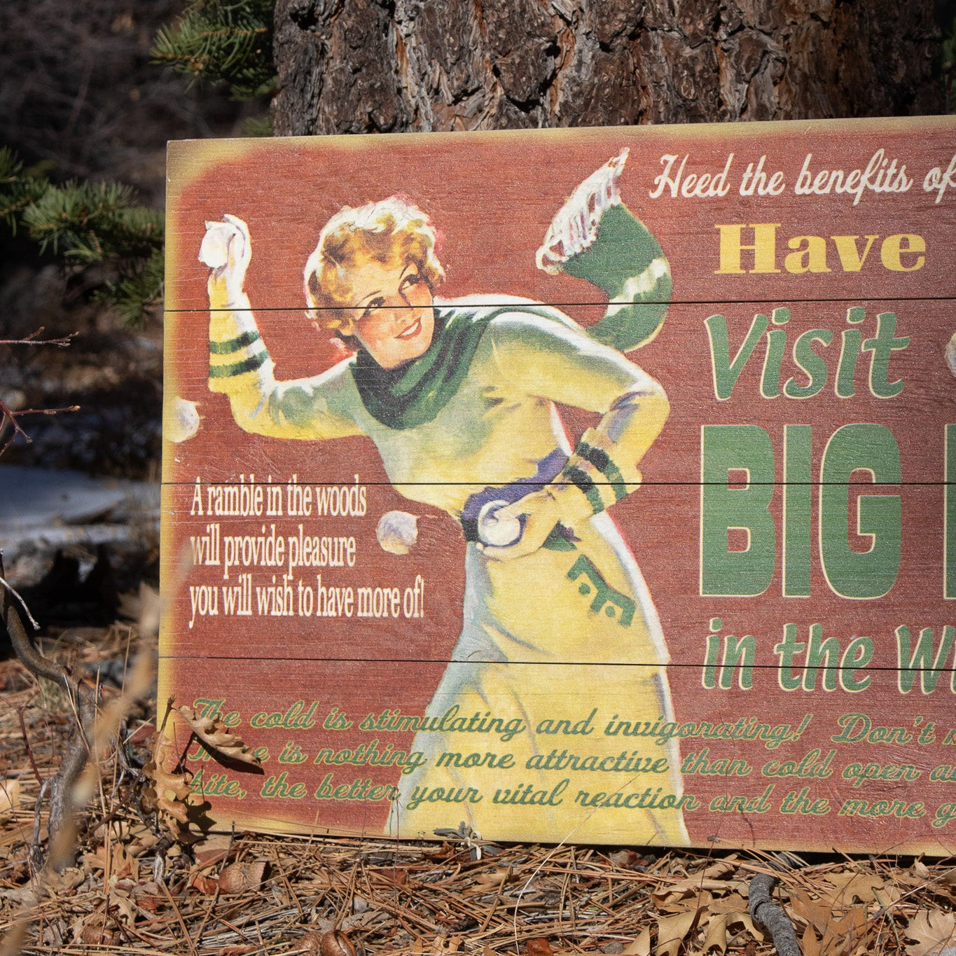 Big Bear Winter Adventure ''Have a Ball!'' Decorative Wooden Hand Painted Sign