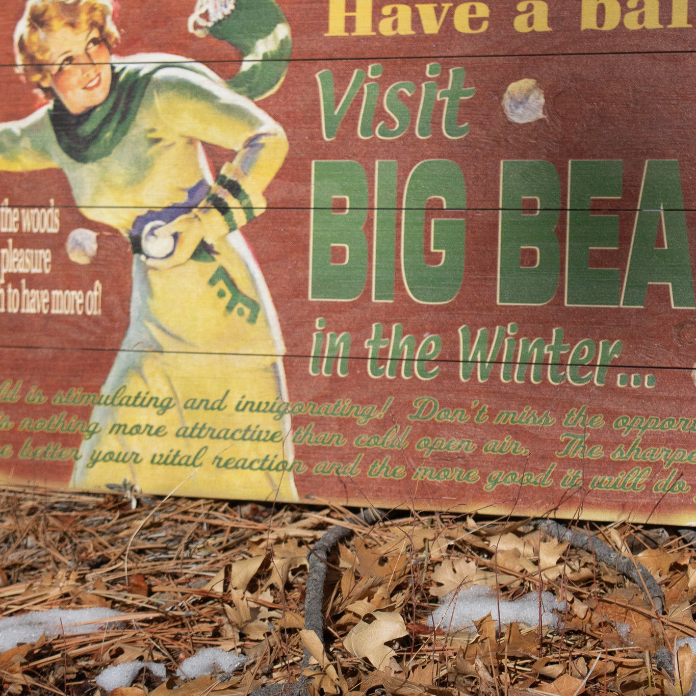 Big Bear Winter Adventure ''Have a Ball!'' Decorative Wooden Hand Painted Sign