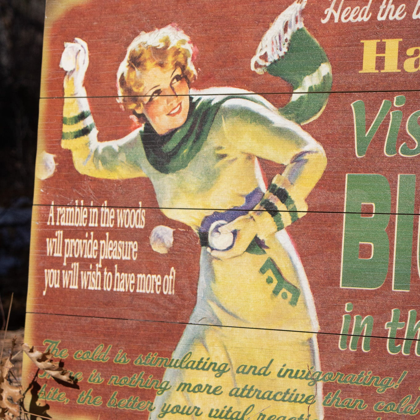 Big Bear Winter Adventure ''Have a Ball!'' Decorative Wooden Hand Painted Sign