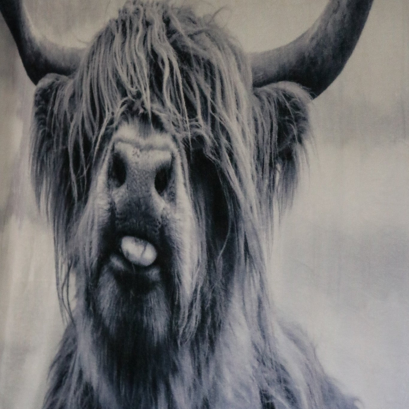 Grey Highland Cow Pattern Throw Blanket Cozy