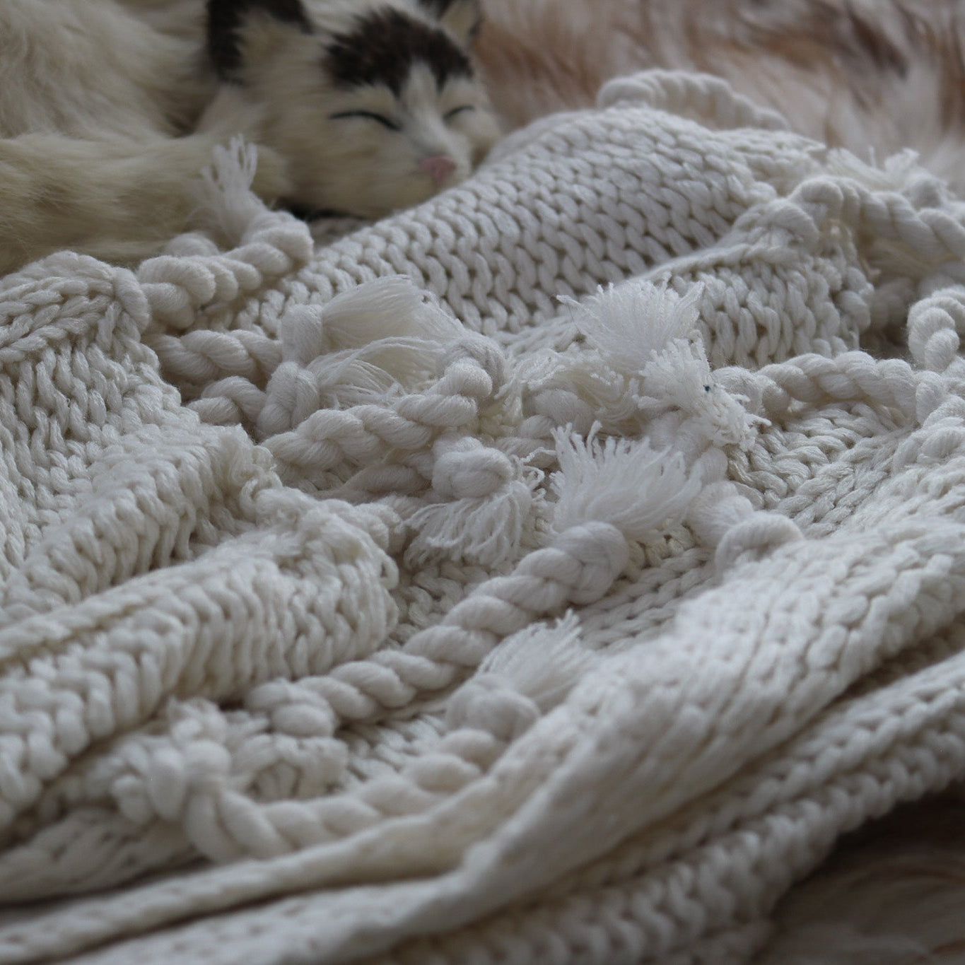 Pottery Barn Bryson White Luxuriously Knitted Soft Throw Blanket 50 x 60 Inches