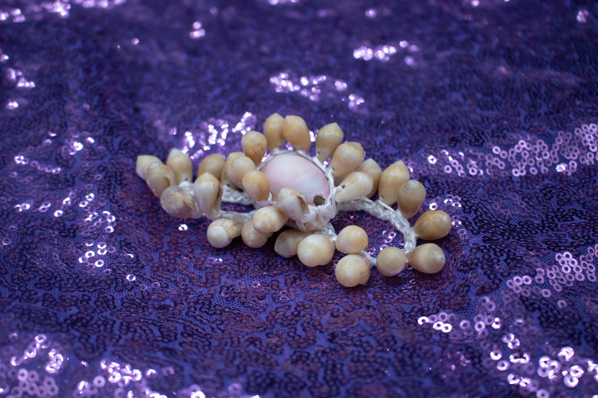 3 Piece Vintage Cowrie Seashell Set with Traditional African Money Trade Beads