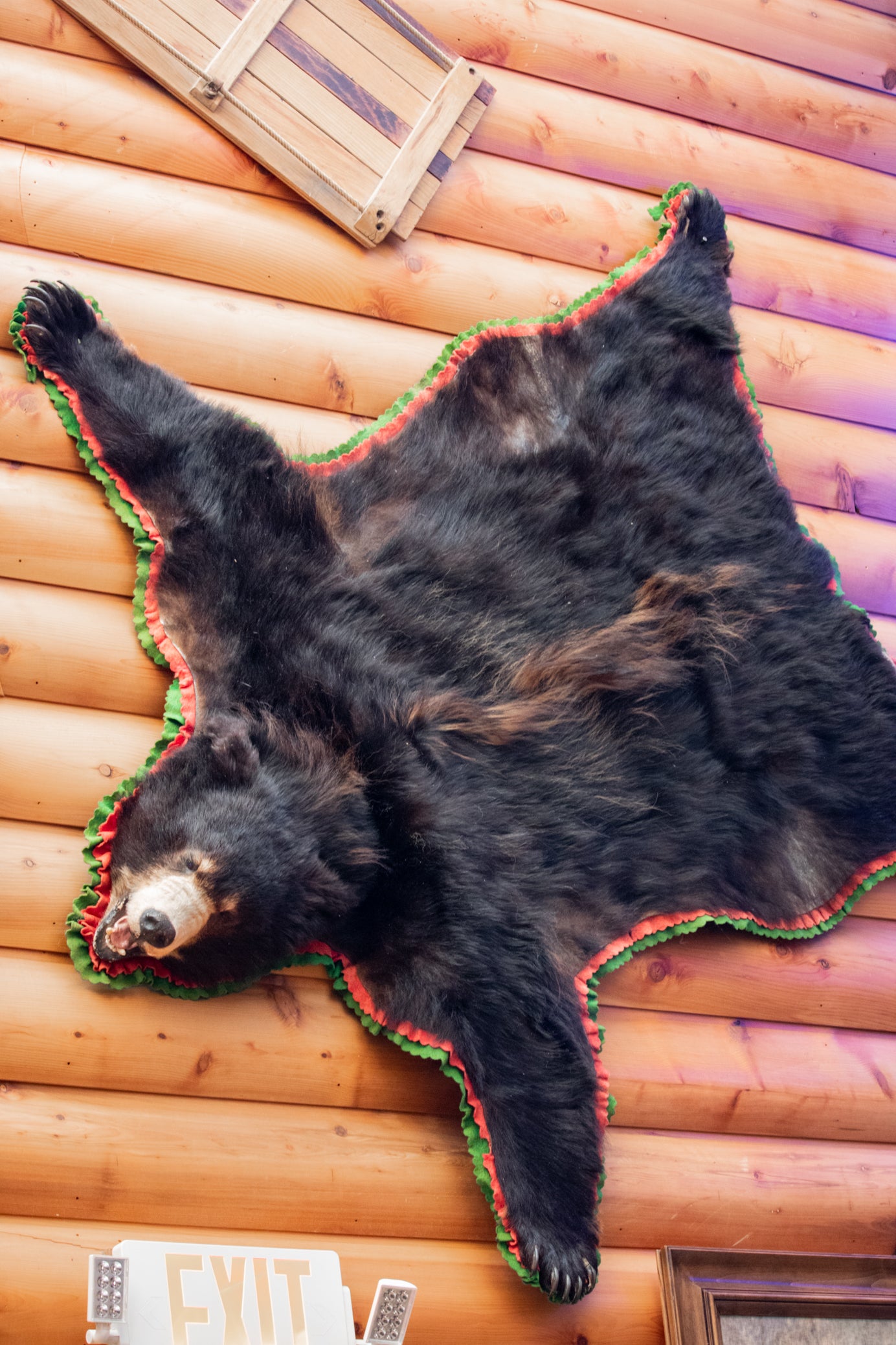Authentic Vintage Brown Bear Skin Rug