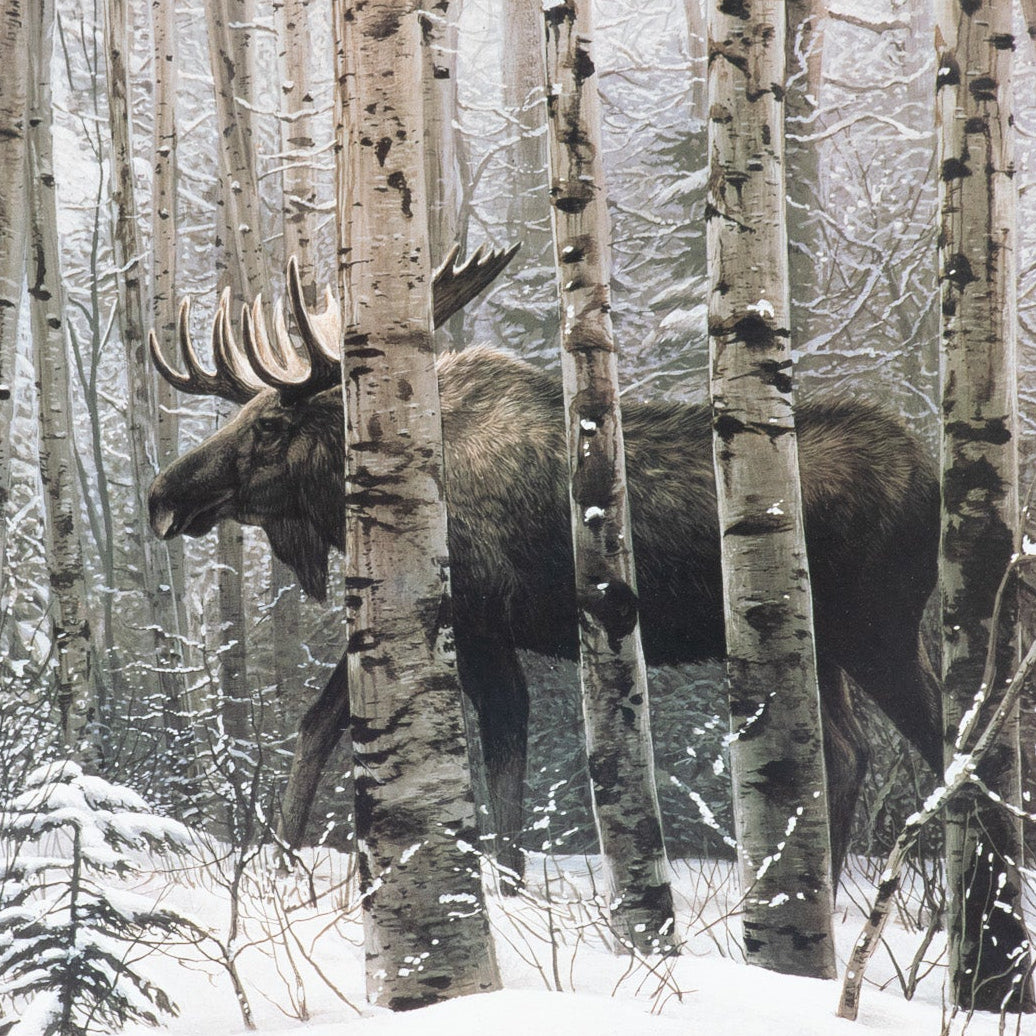 Moose Walking Through the Snow-Cover Forest Large Custom Solid Wood Framed Print