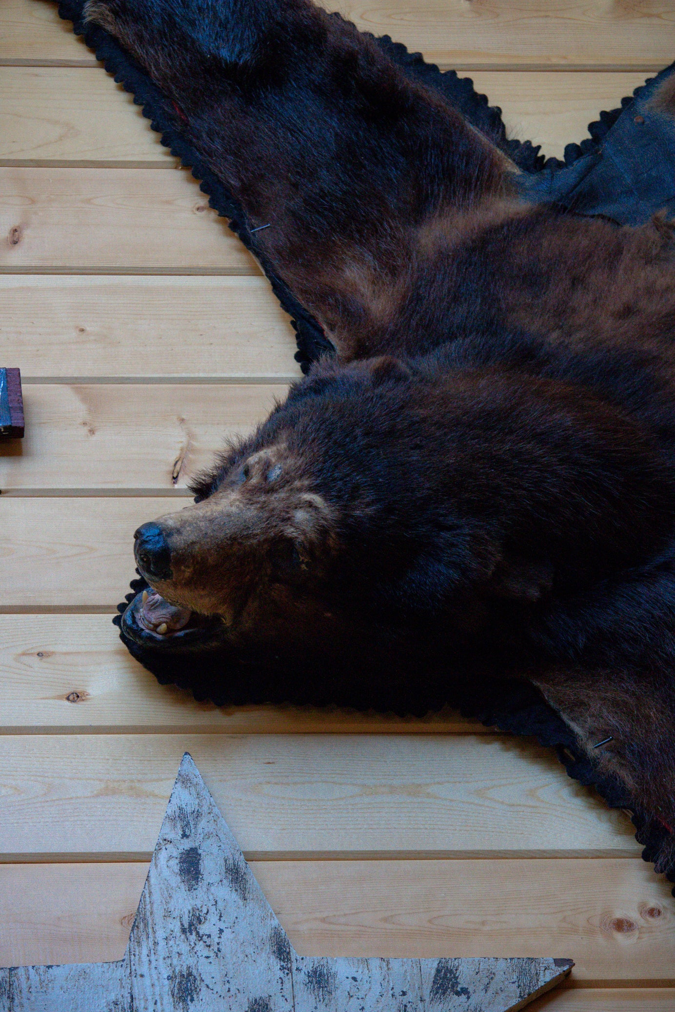 Genuine Black Bear Rug Skin