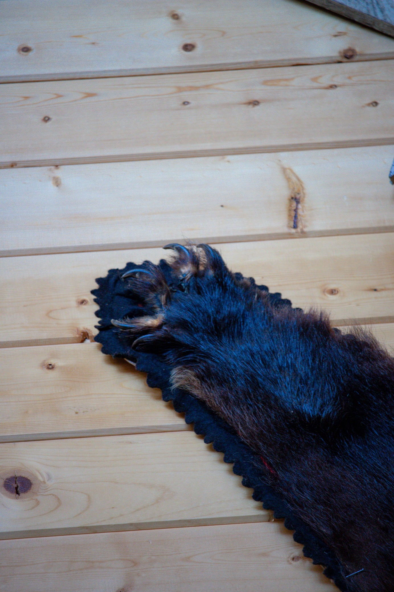Classic Black Bear Skin Rug- CANNOT SELLL