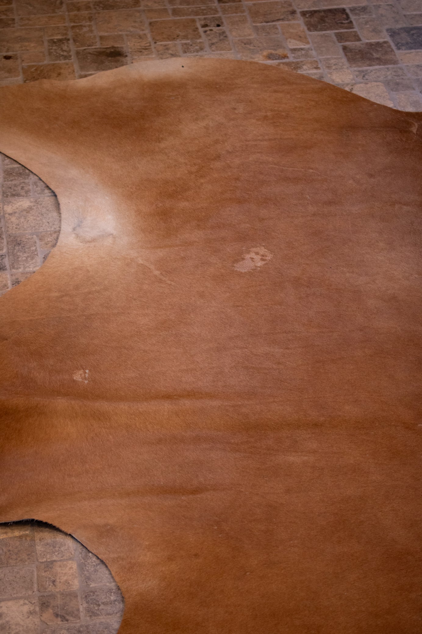 Light Mahogany Cowhide Rug – Elegant Leather Accent for Any Room