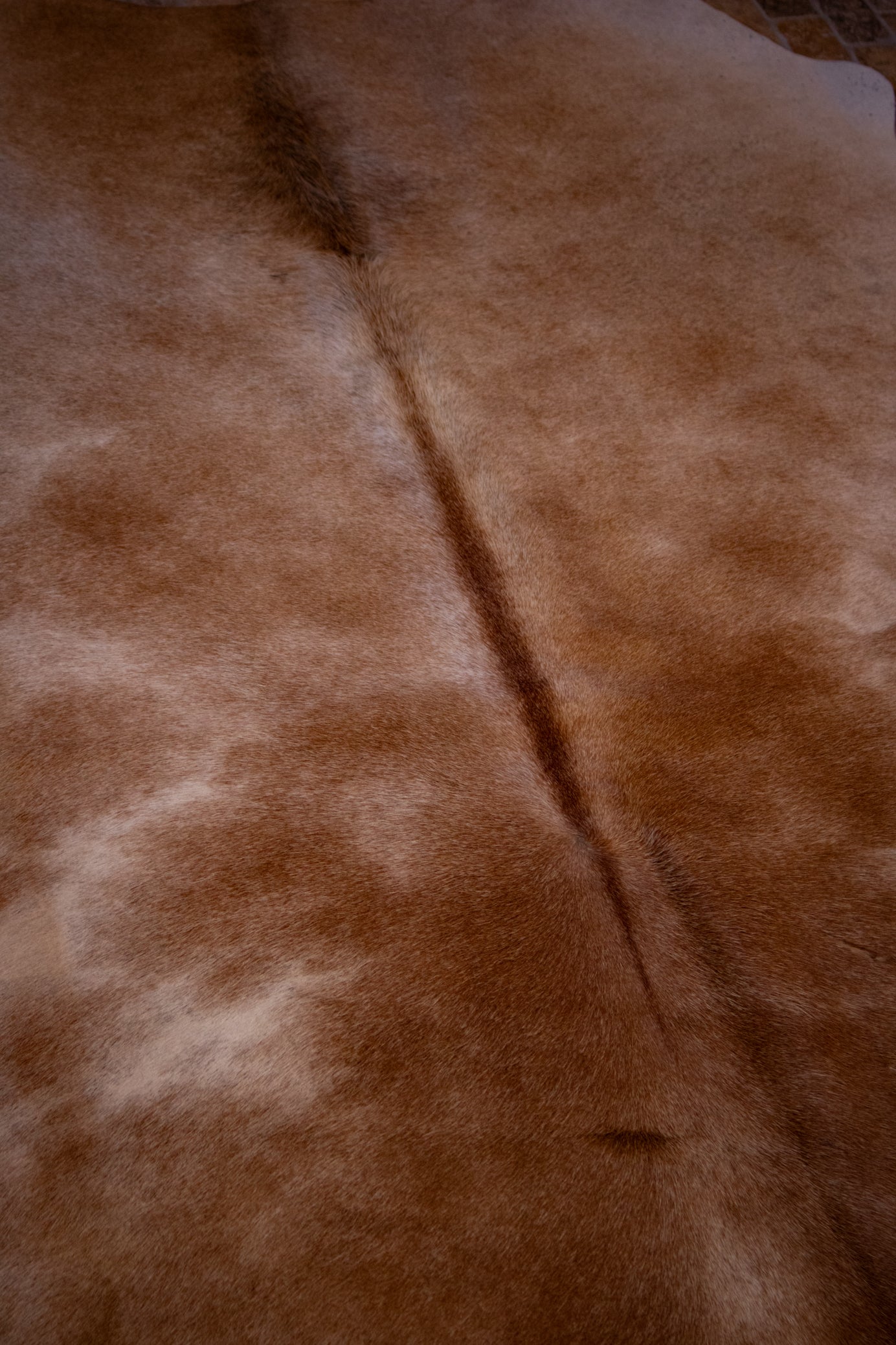 Neutral Beige and Light Brown Cowhide Rug – Perfect for Any Space