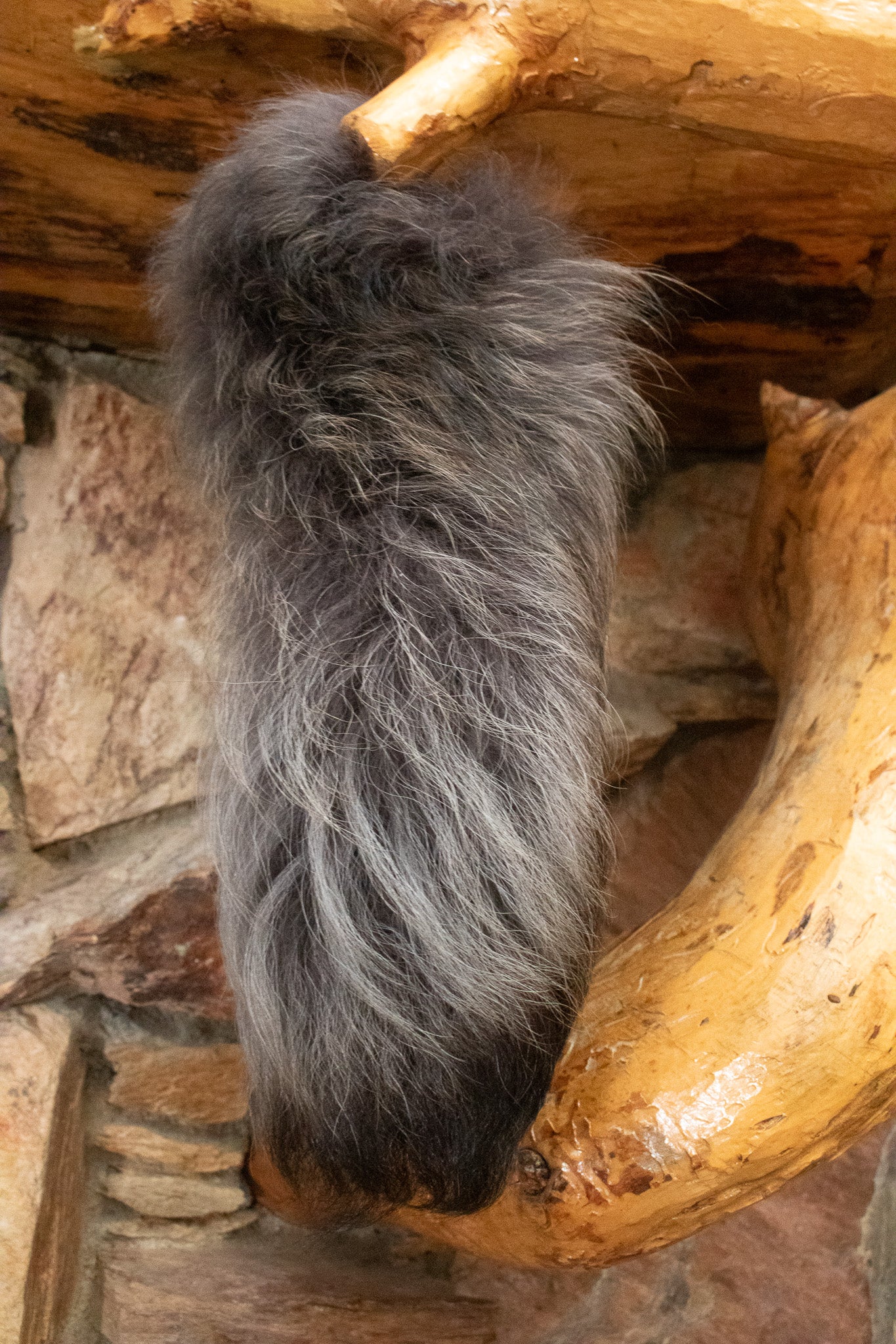 Premium Fox Tail Accessory