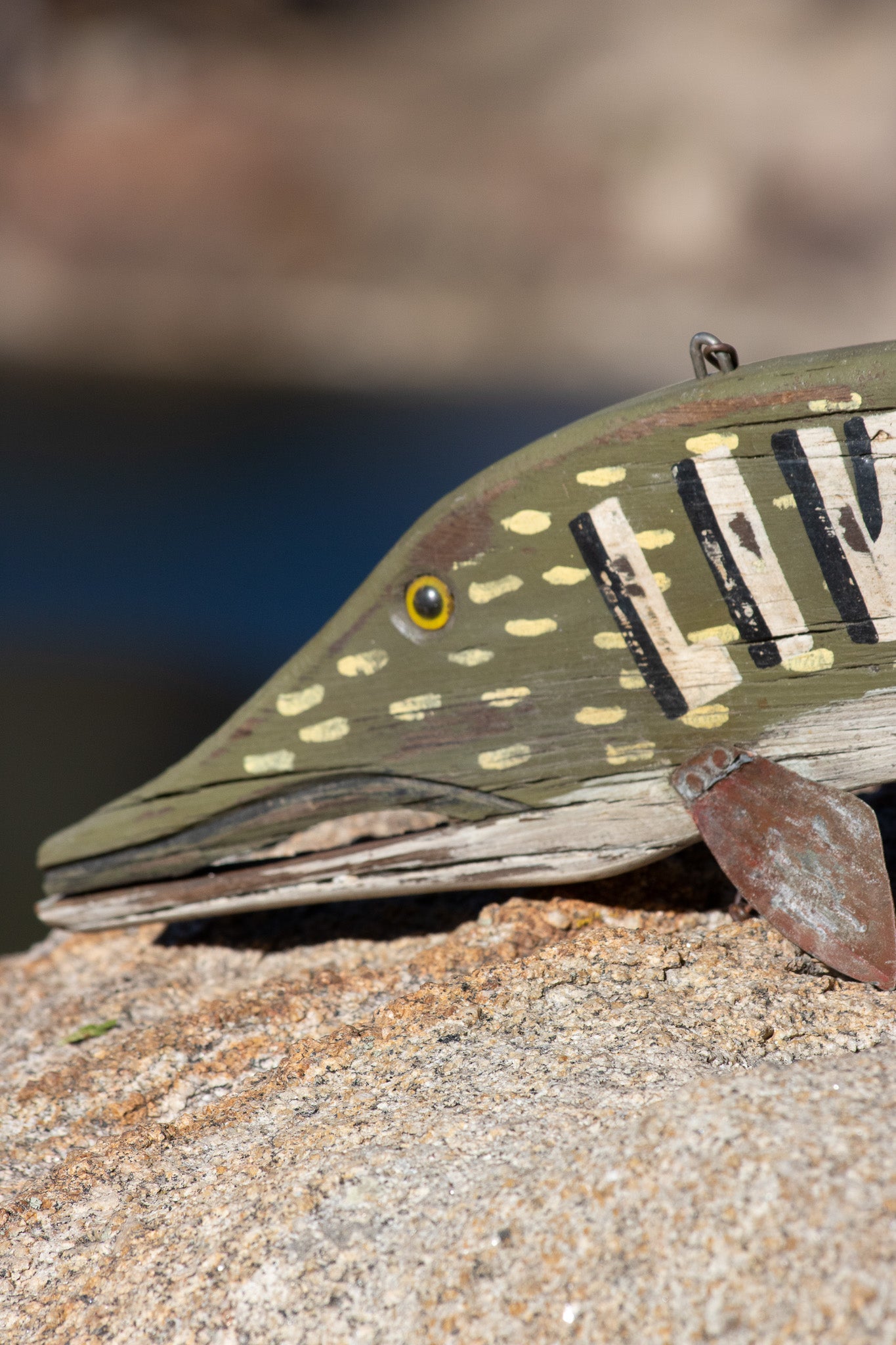 "Live Minnows" Hand Painted Wooded Sign