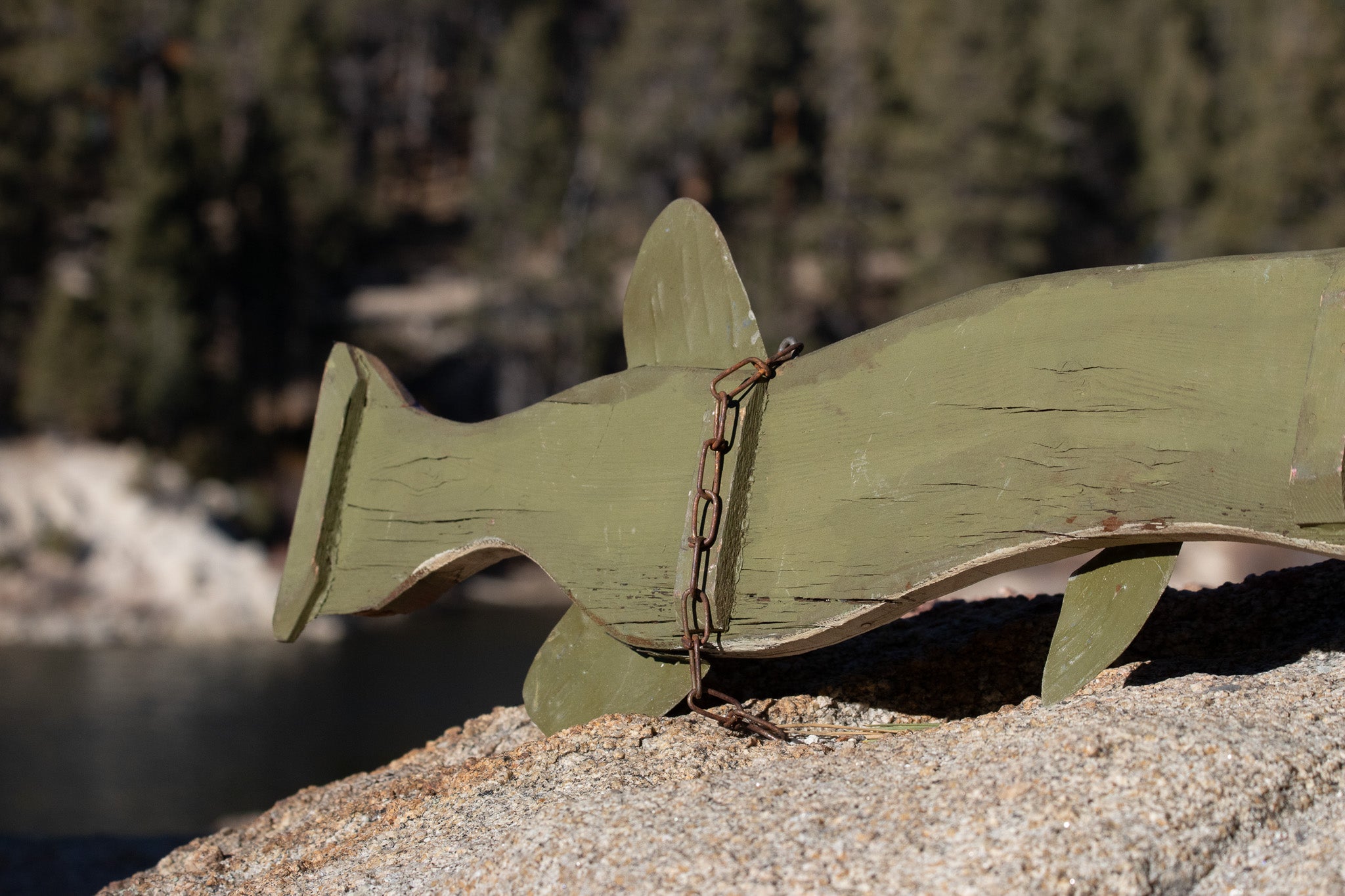 "Live Minnows" Hand Painted Wooded Sign