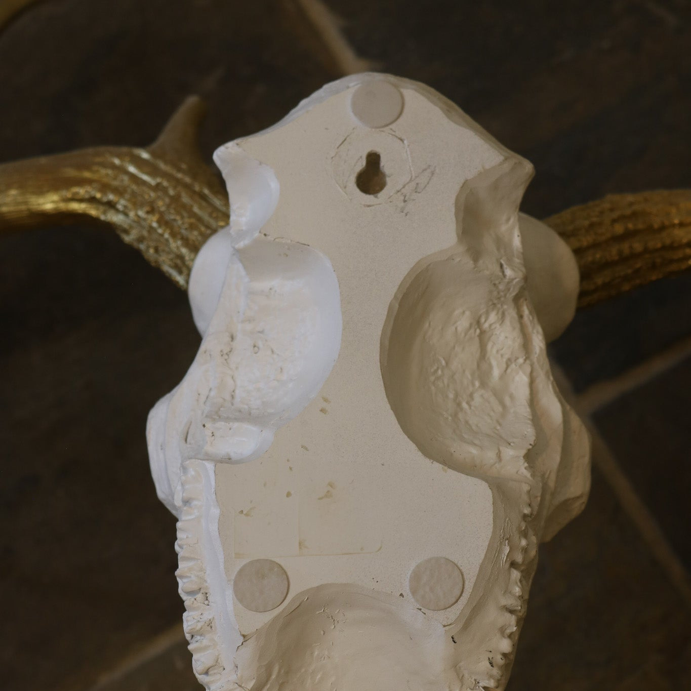 Wall Décor Gold-Antlered Resin Deer Skull