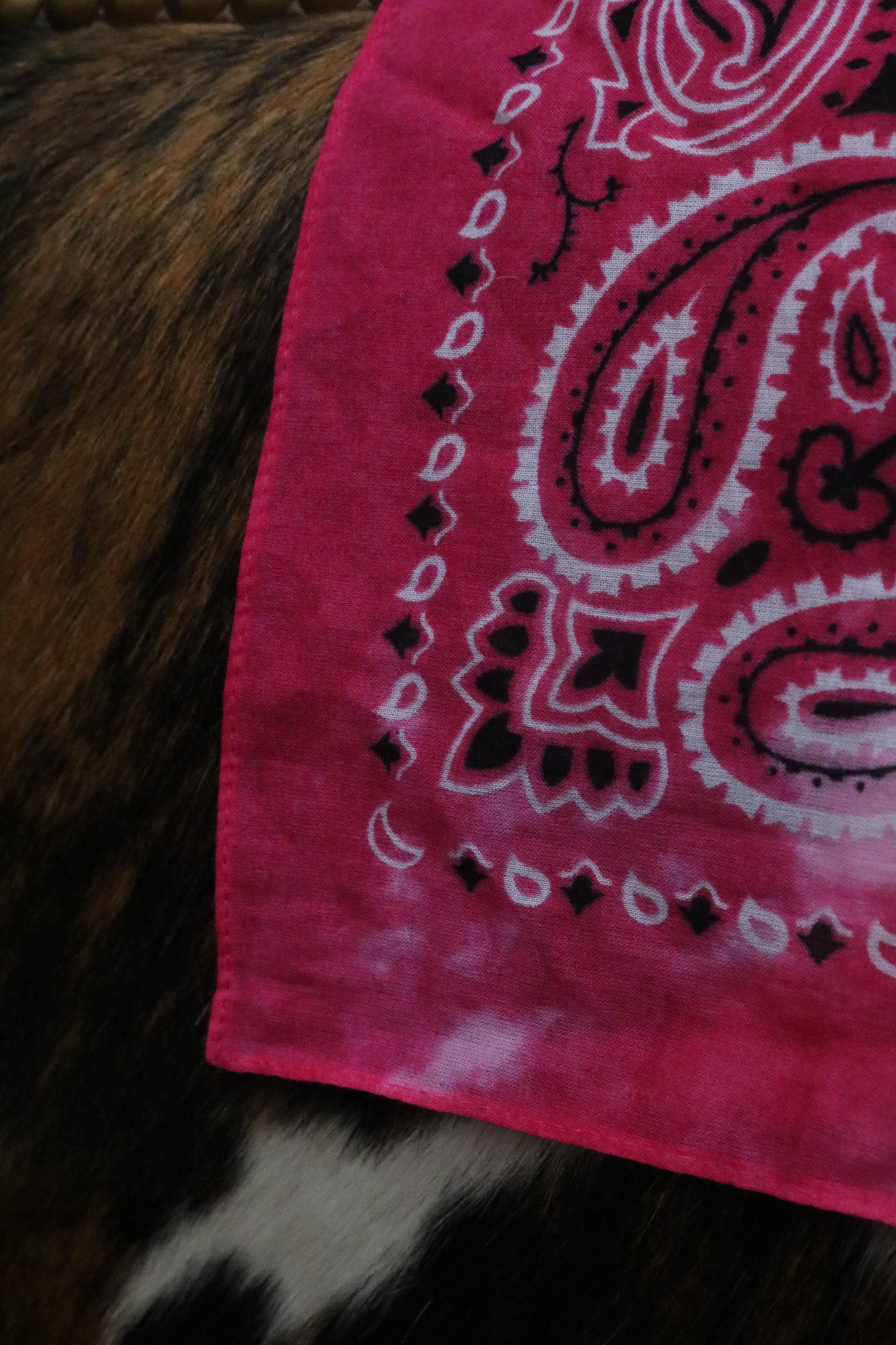 Bright Pink "Celebrate Every Moment" Enjoy Life Bandana