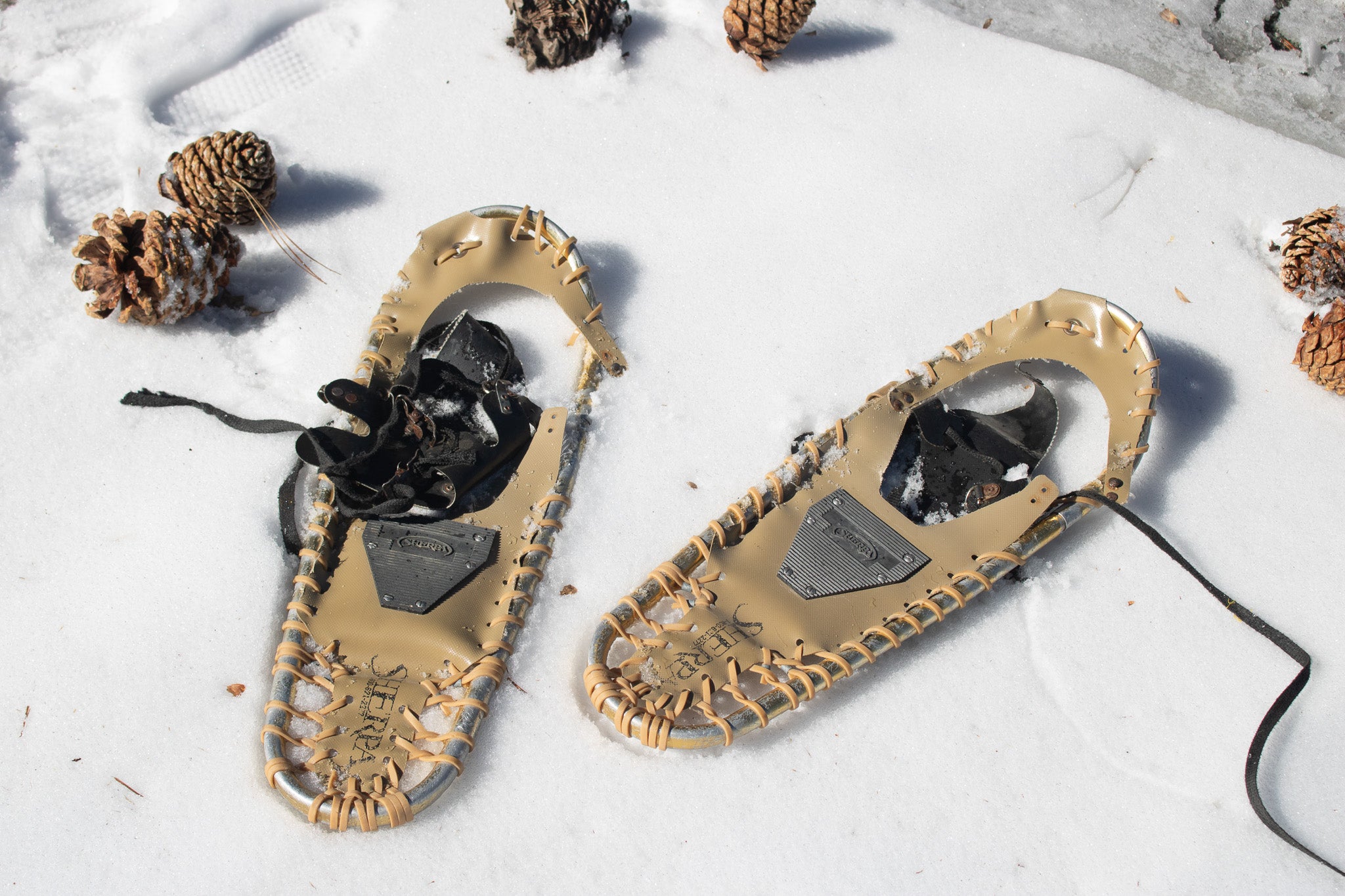Sherpa Snow shoes