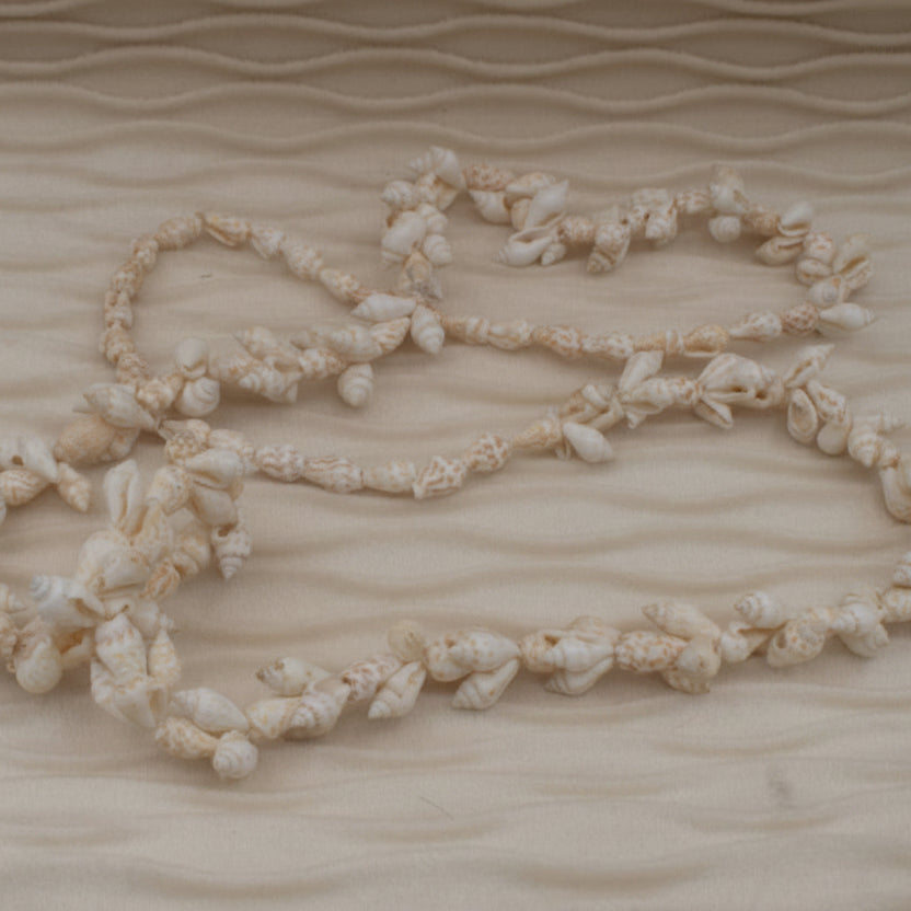 Cowrie Seashell Long Necklace