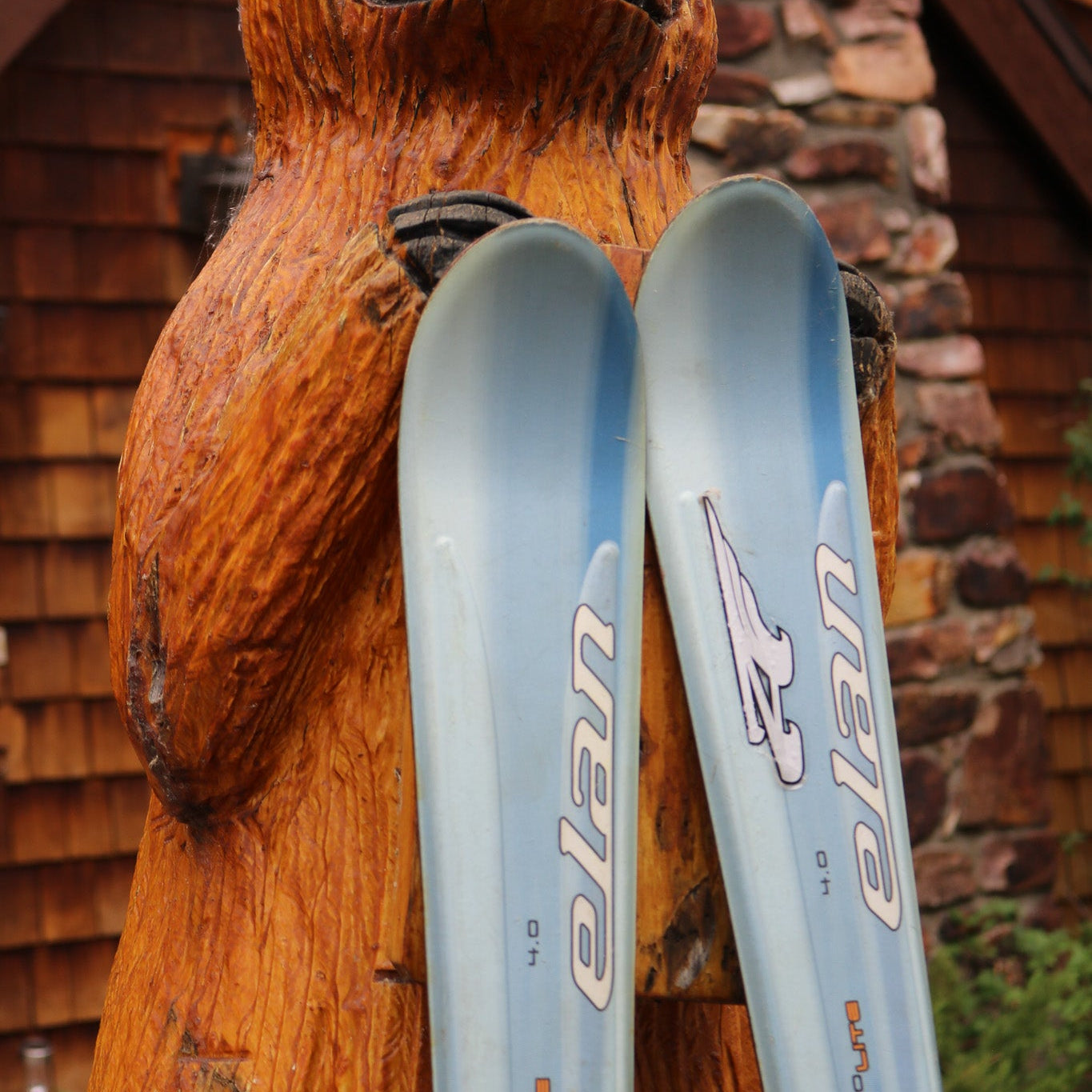 Elan 4.0 MonoLite Whisper Express Model Skis