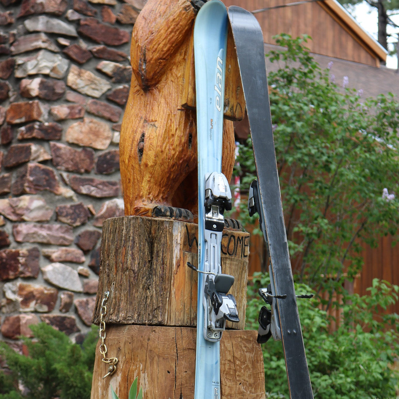 Elan 4.0 MonoLite Whisper Express Model Skis