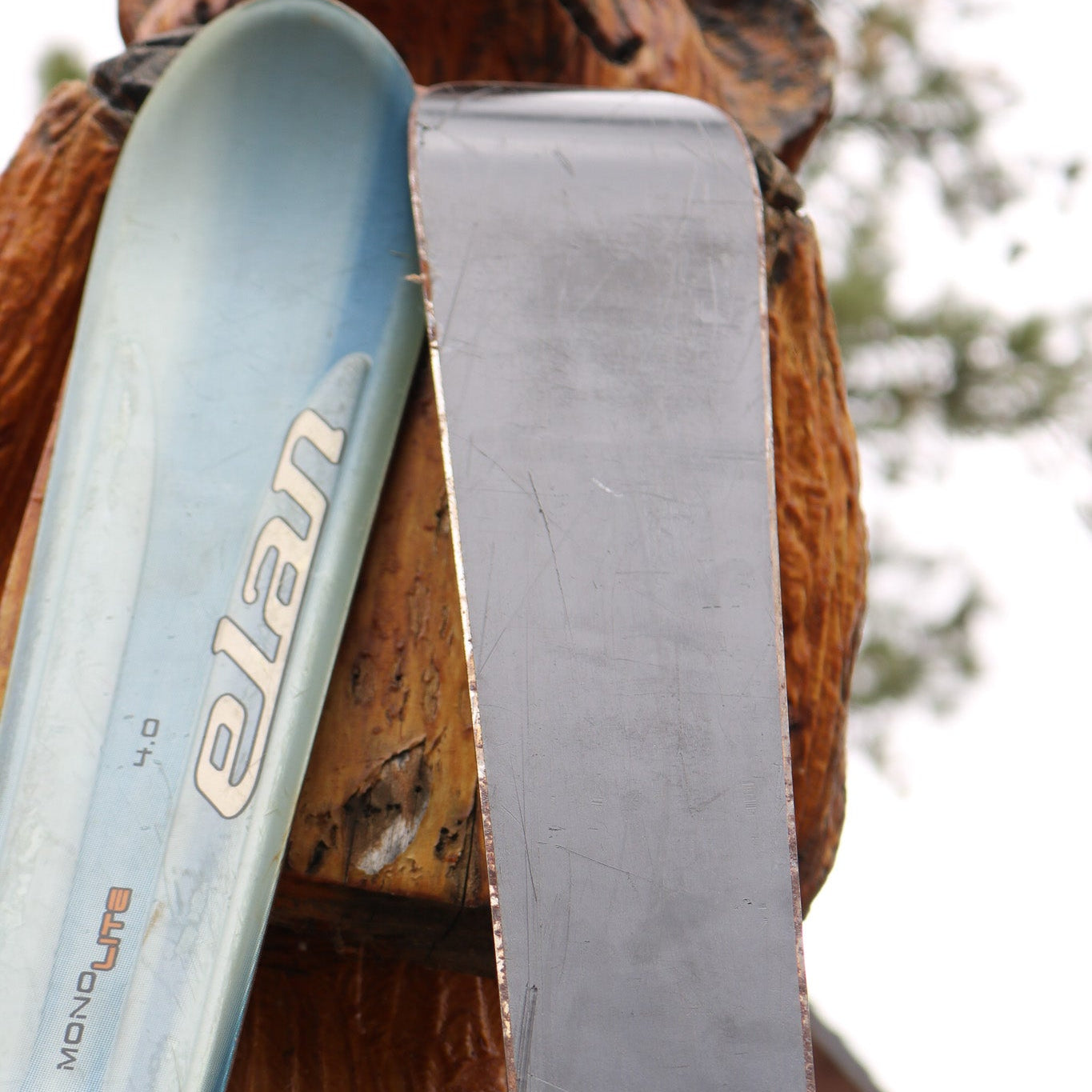 Elan 4.0 MonoLite Whisper Express Model Skis