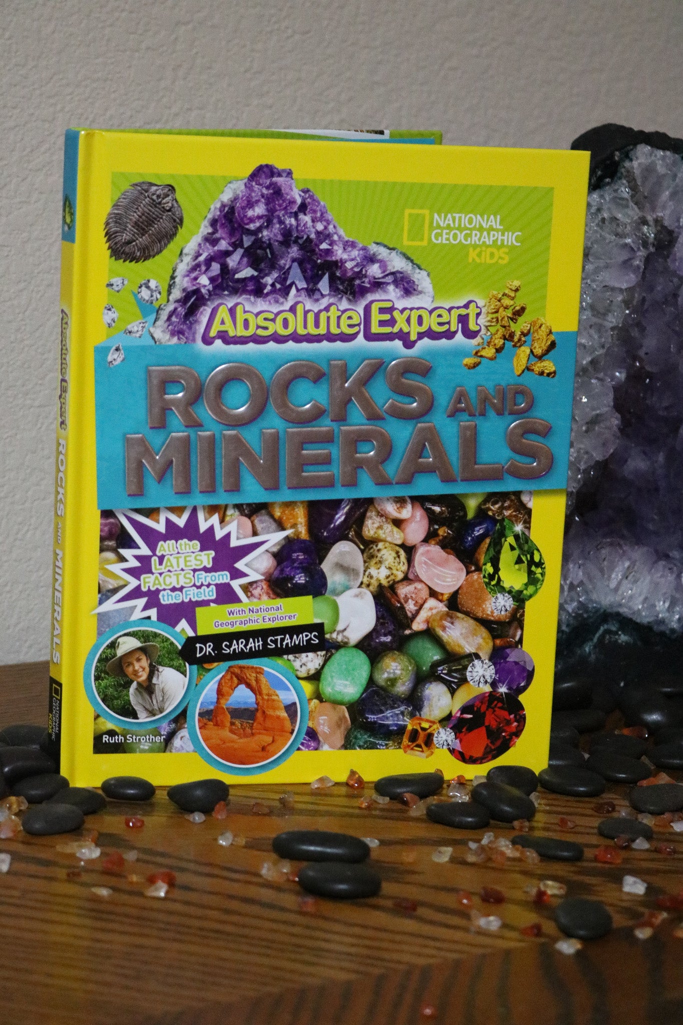 Absolute Expert: Rocks & Minerals Hardback Book