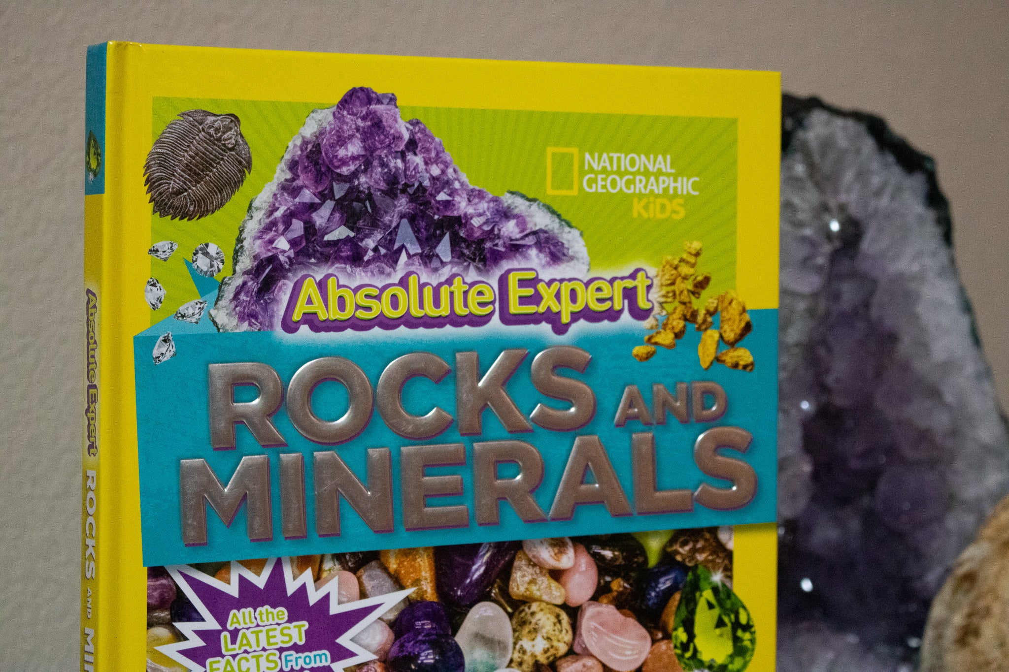Absolute Expert: Rocks & Minerals Hardback Book