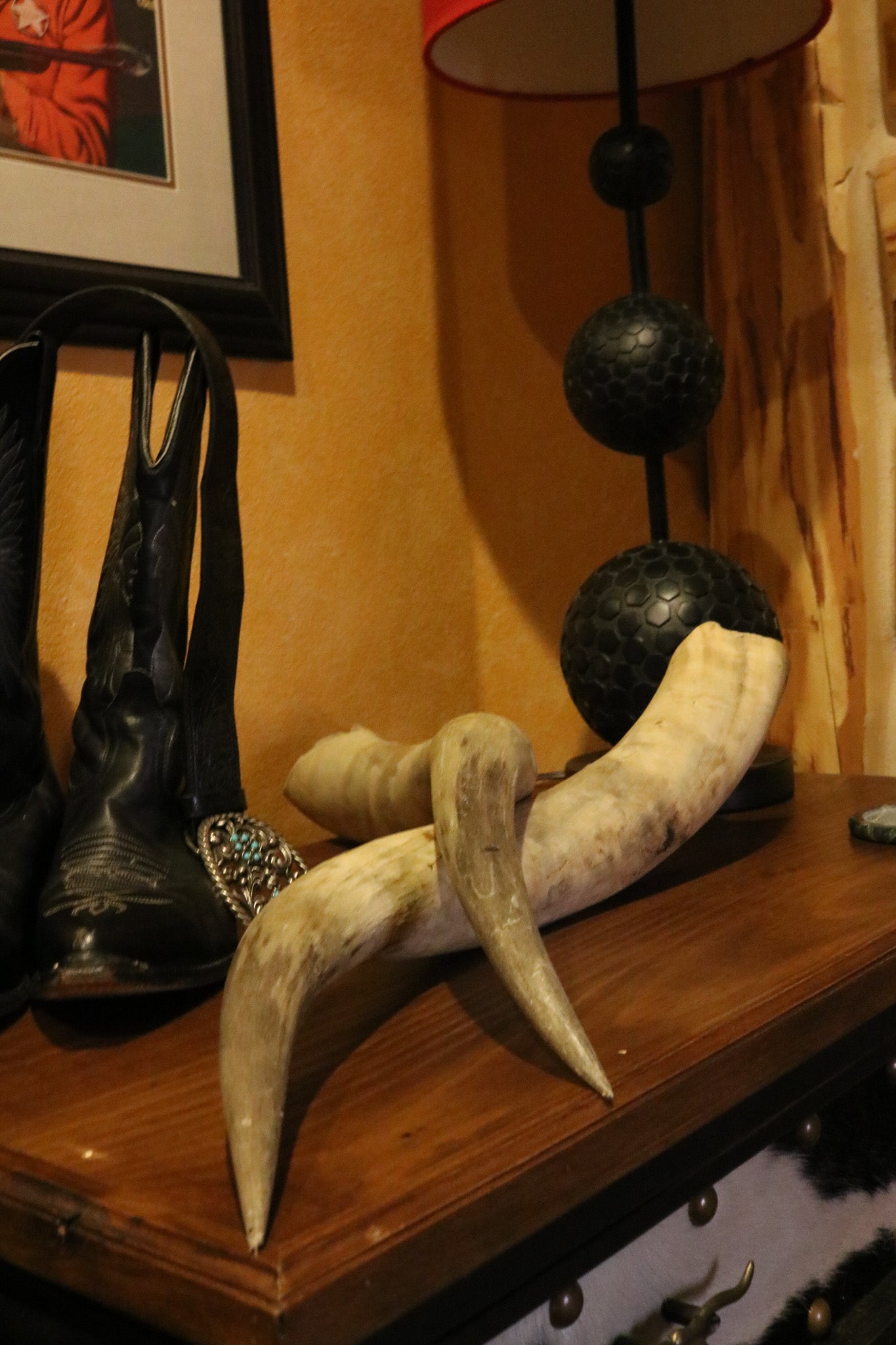 Pair of Authentic Bull Horns