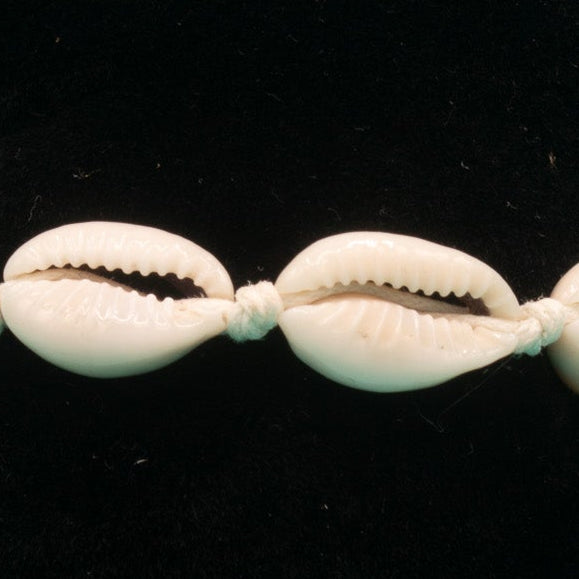 White Seashell Jute Cord Bracelet