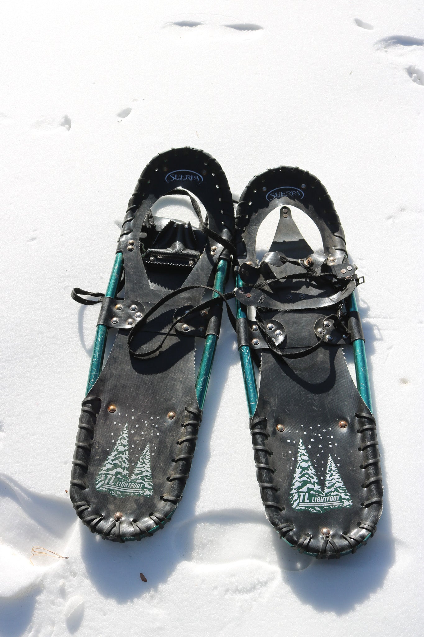 Aluminum Sherpa TL Lightfoot Snowshoes